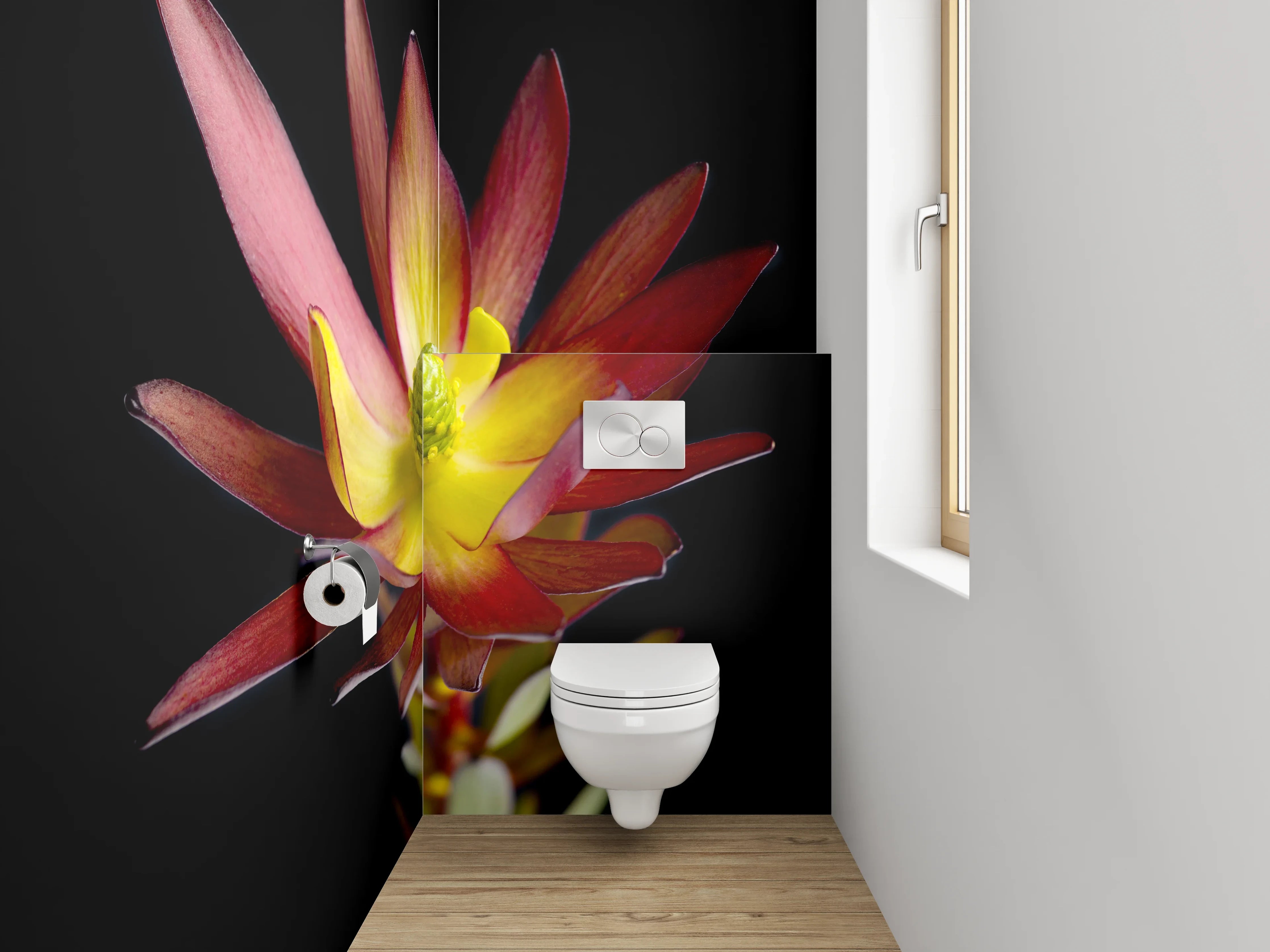 WC-Rückwand - Exotische Blüte auf schwarzem Hintergrund