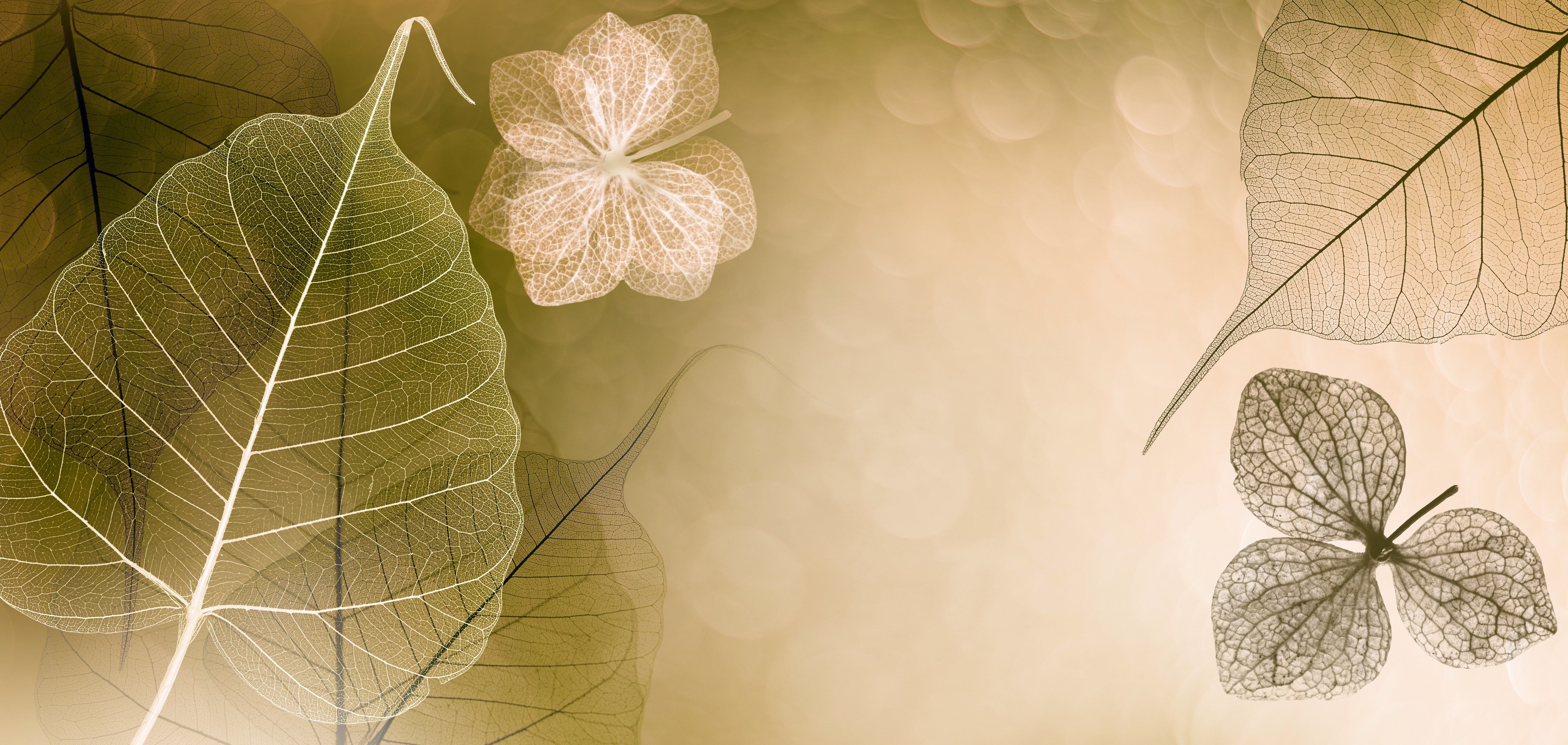 WC-Rückwand-Feine Skelettblätter auf sanftem Beige
