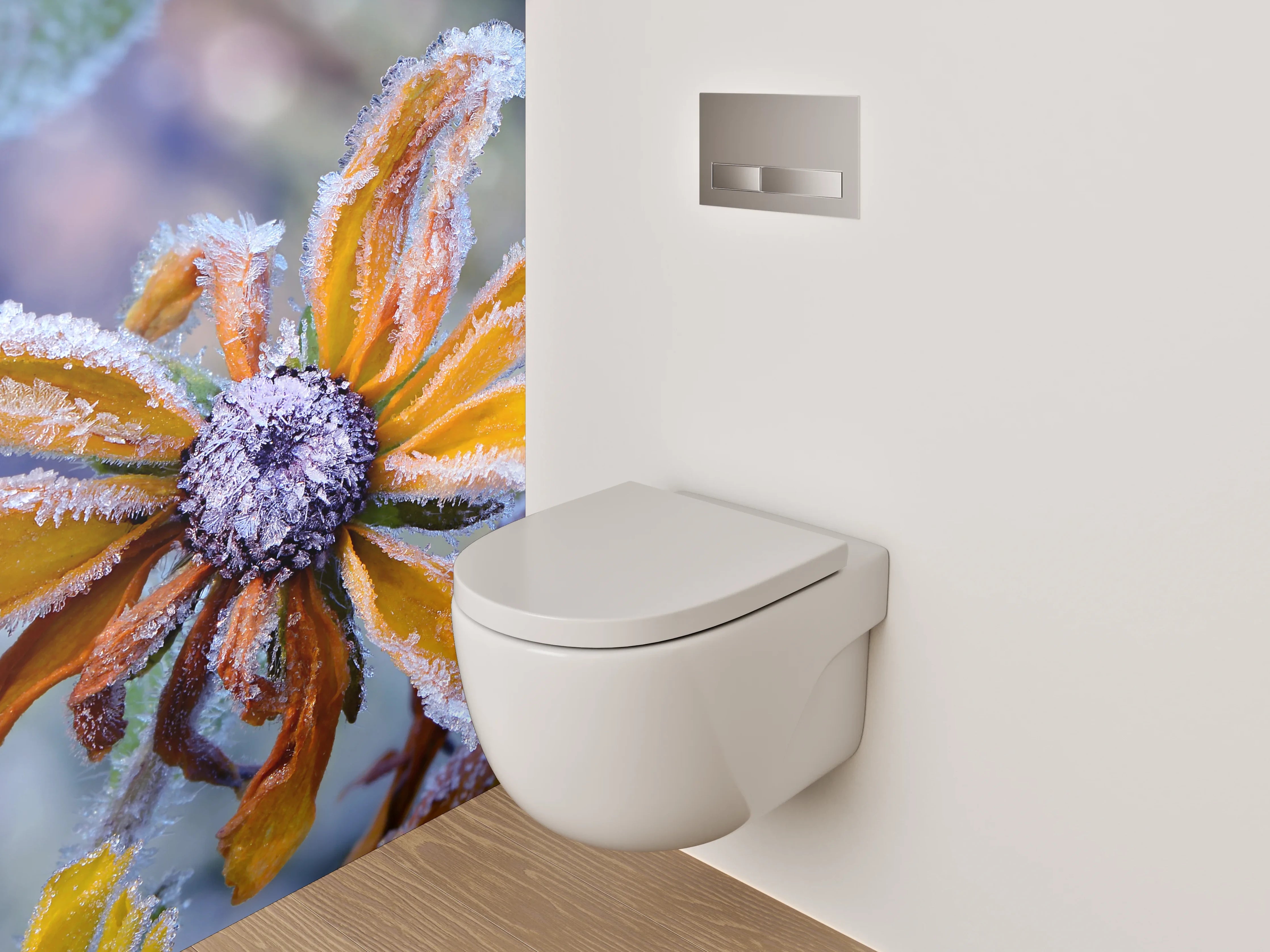 WC-Rückwand - Frostige Herbstblume Naturfoto