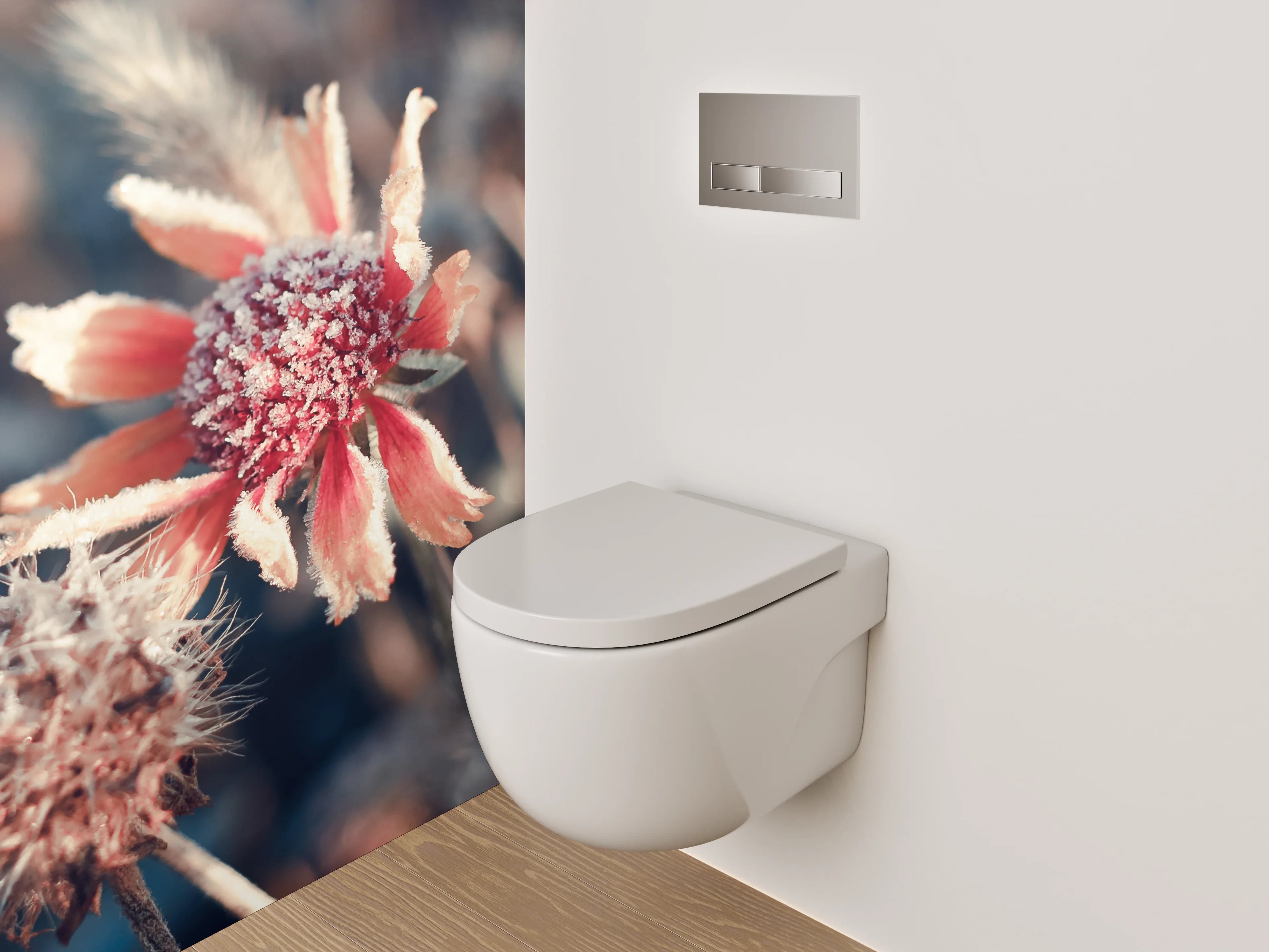 WC-Rückwand - Frostige Wildblume im Winterlicht