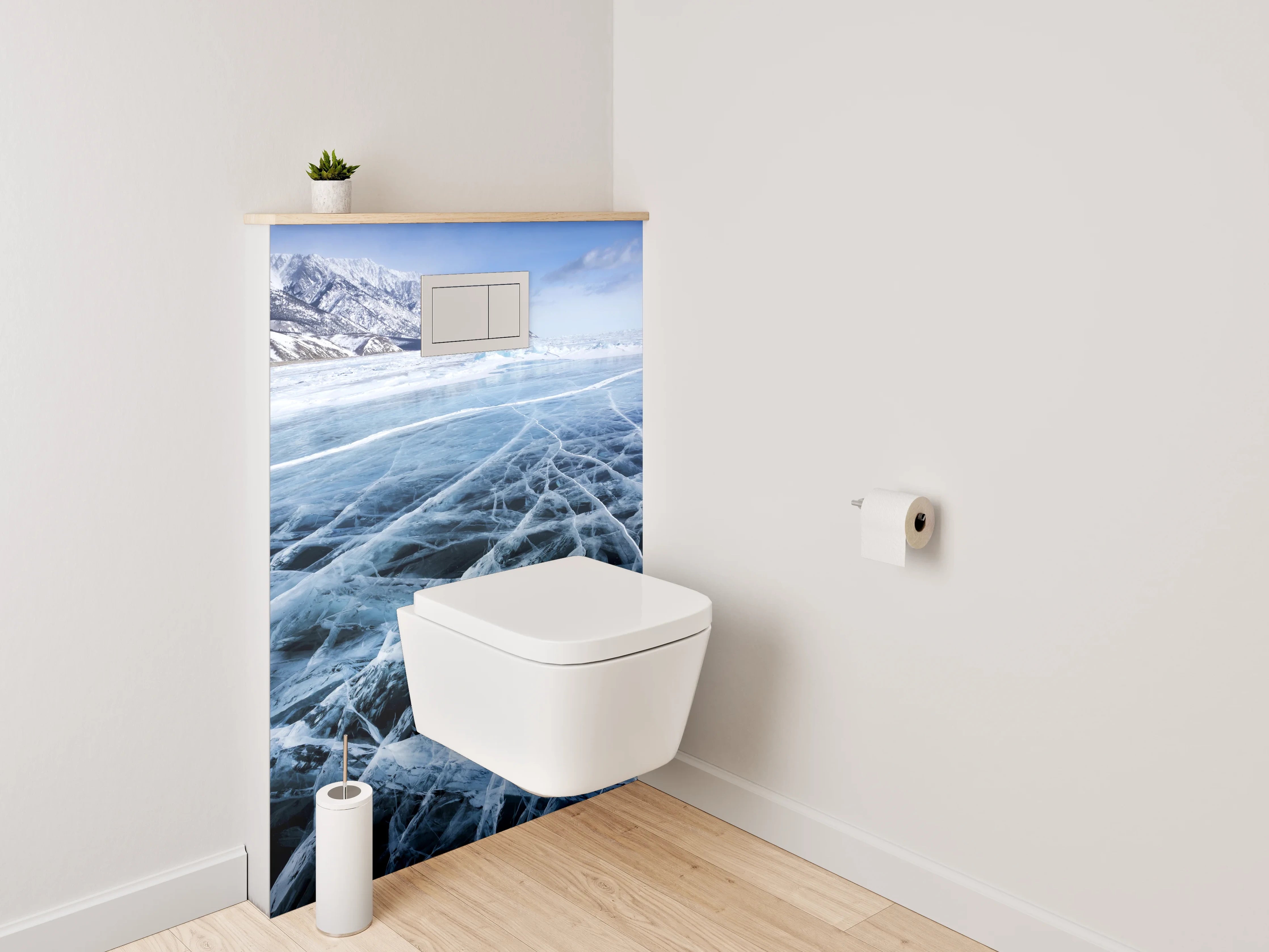 WC-Rückwand - Gefrorener See mit Eistrukturen
