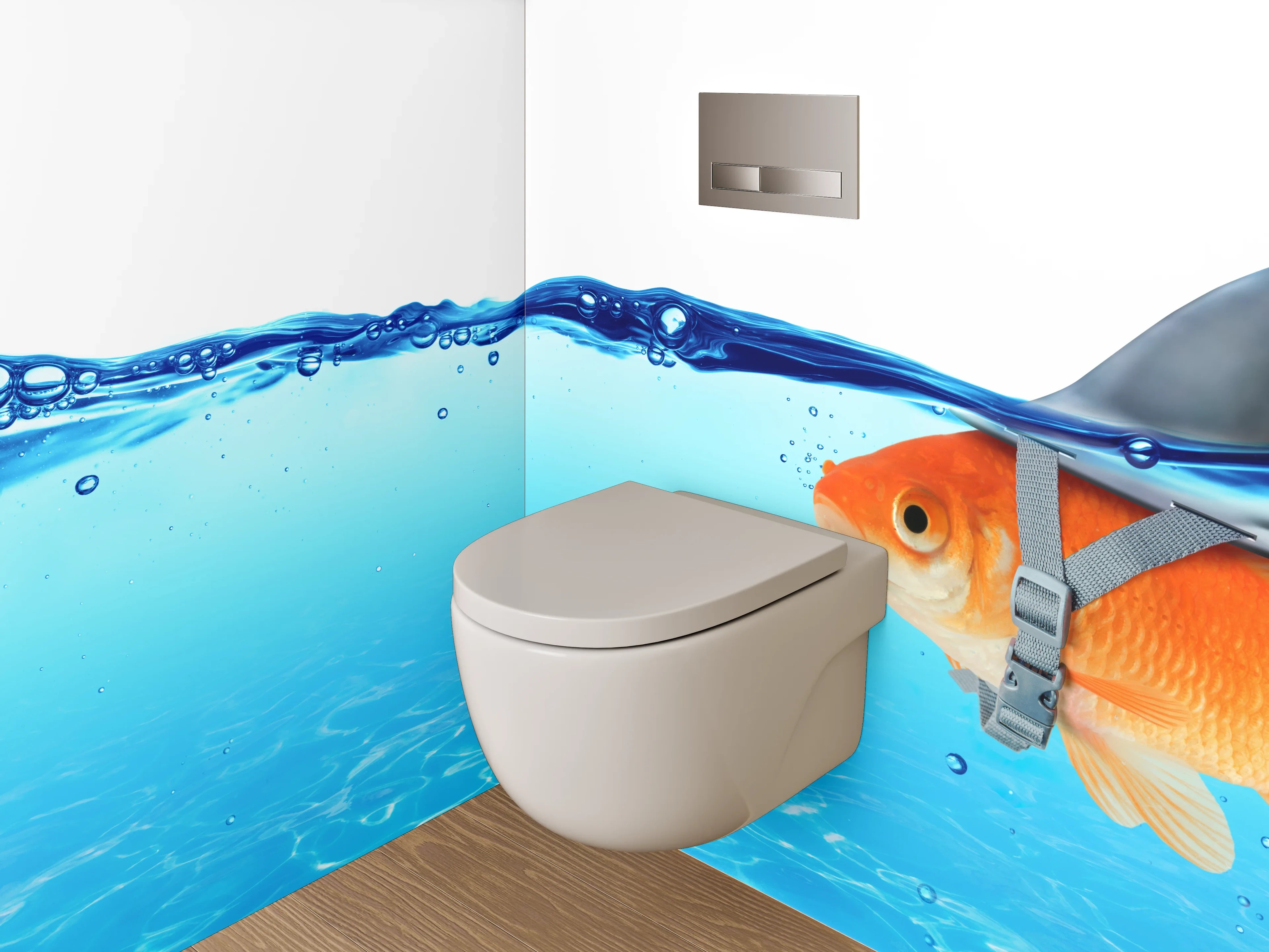 WC-Rückwand - Goldfisch mit Haifischflosse im Wasser