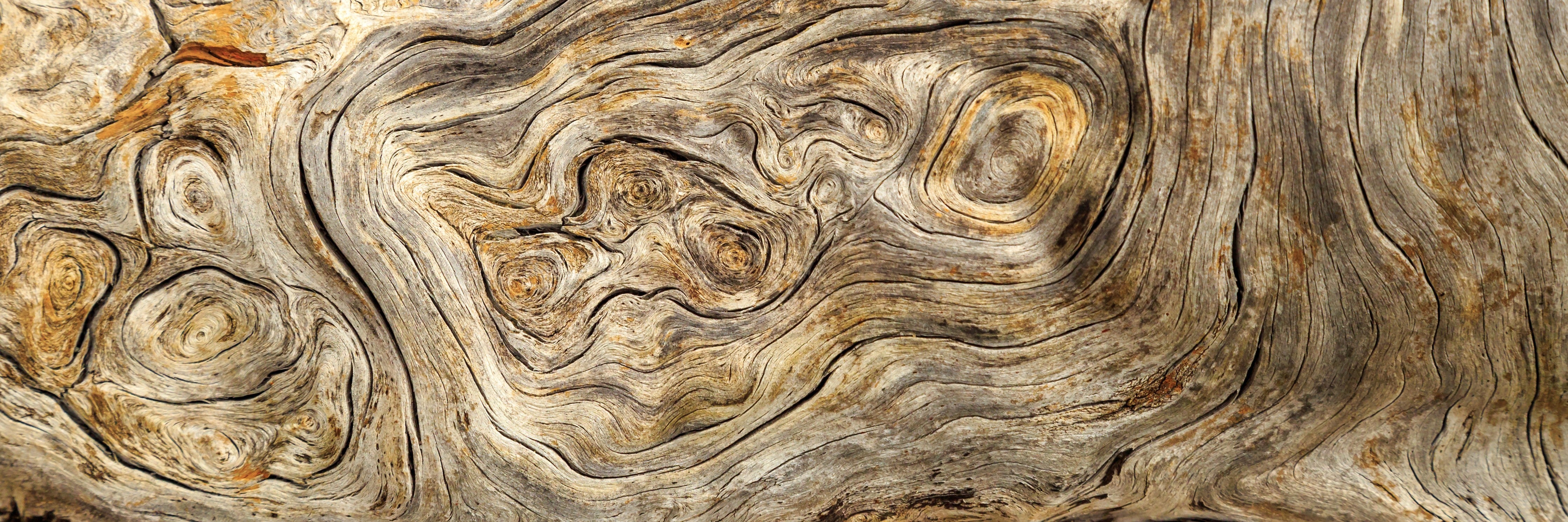 WC-Rückwand-Graubraune Holztextur mit Weißakzenten