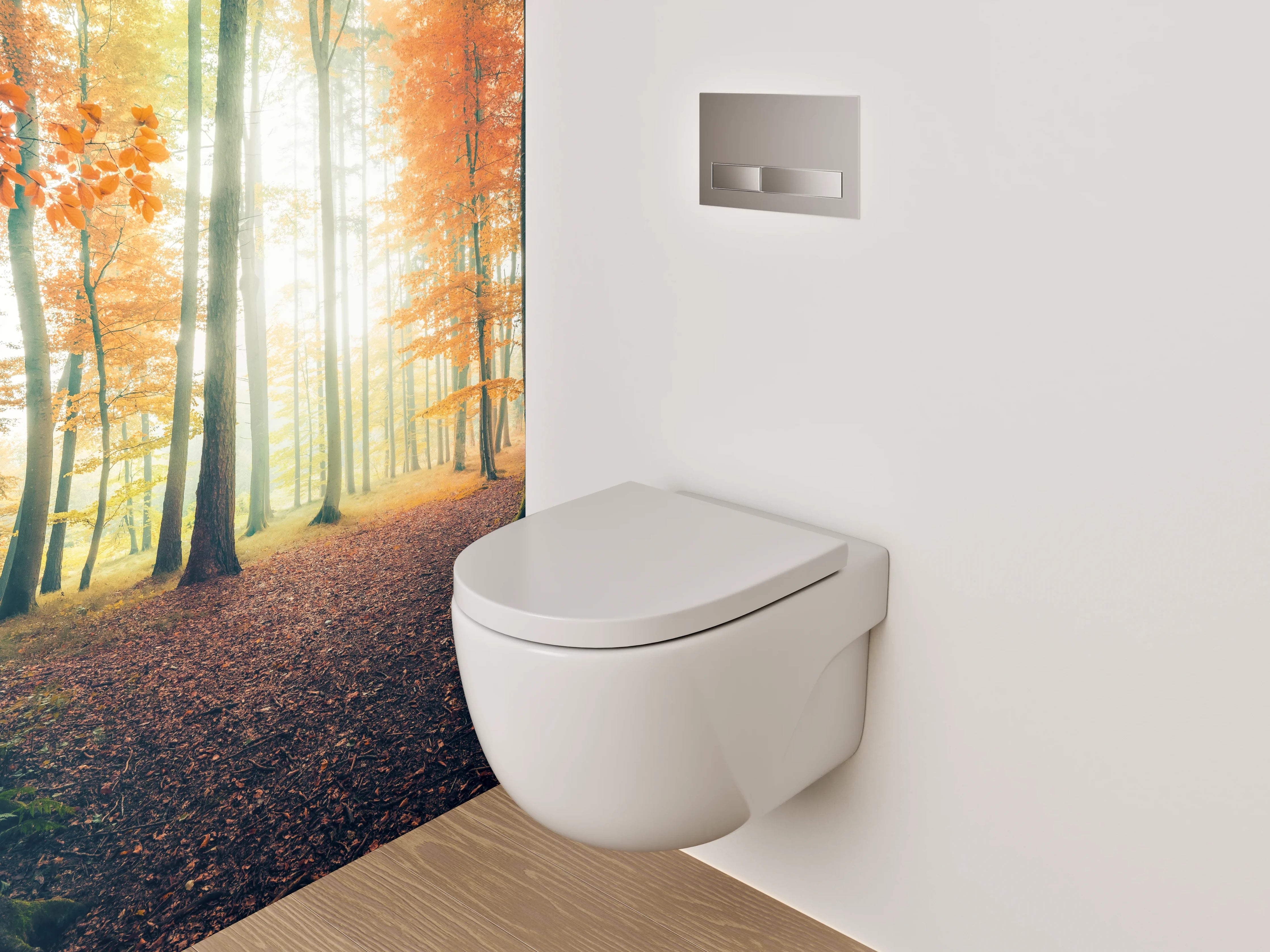 WC-Rückwand - Herbstlicher Lichtwald – Sonnenstrahlen im Wald