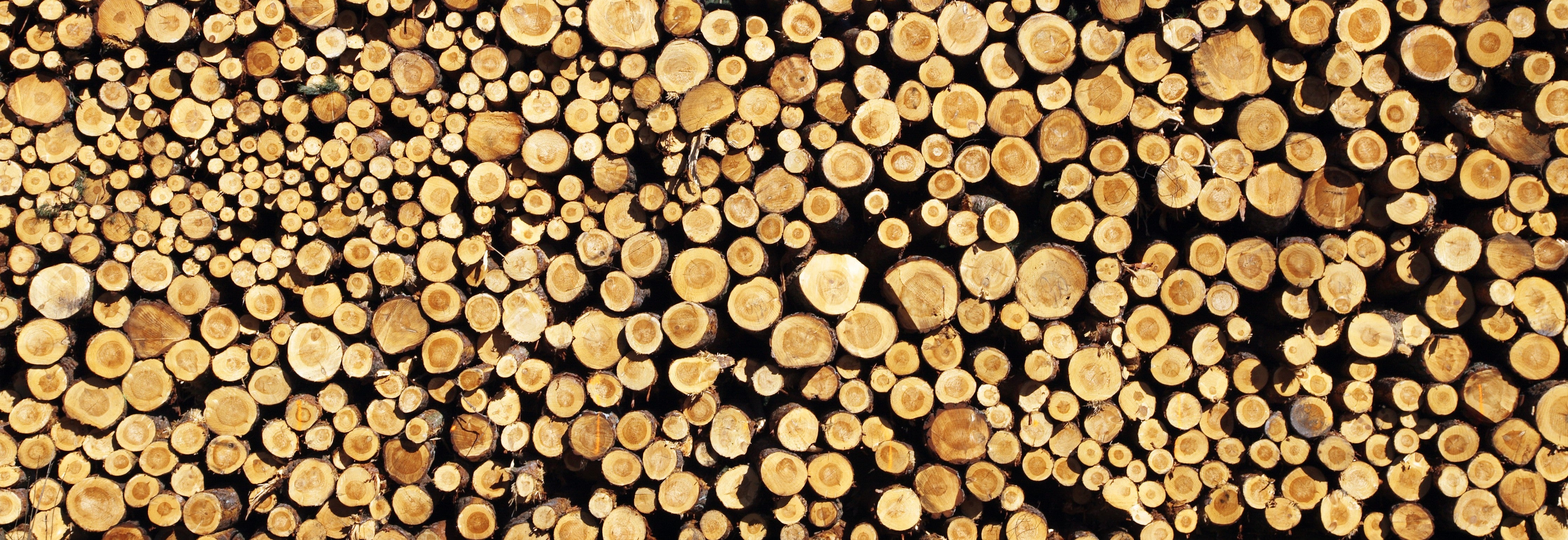 WC-Rückwand-Holzstapel natürlicher Charme