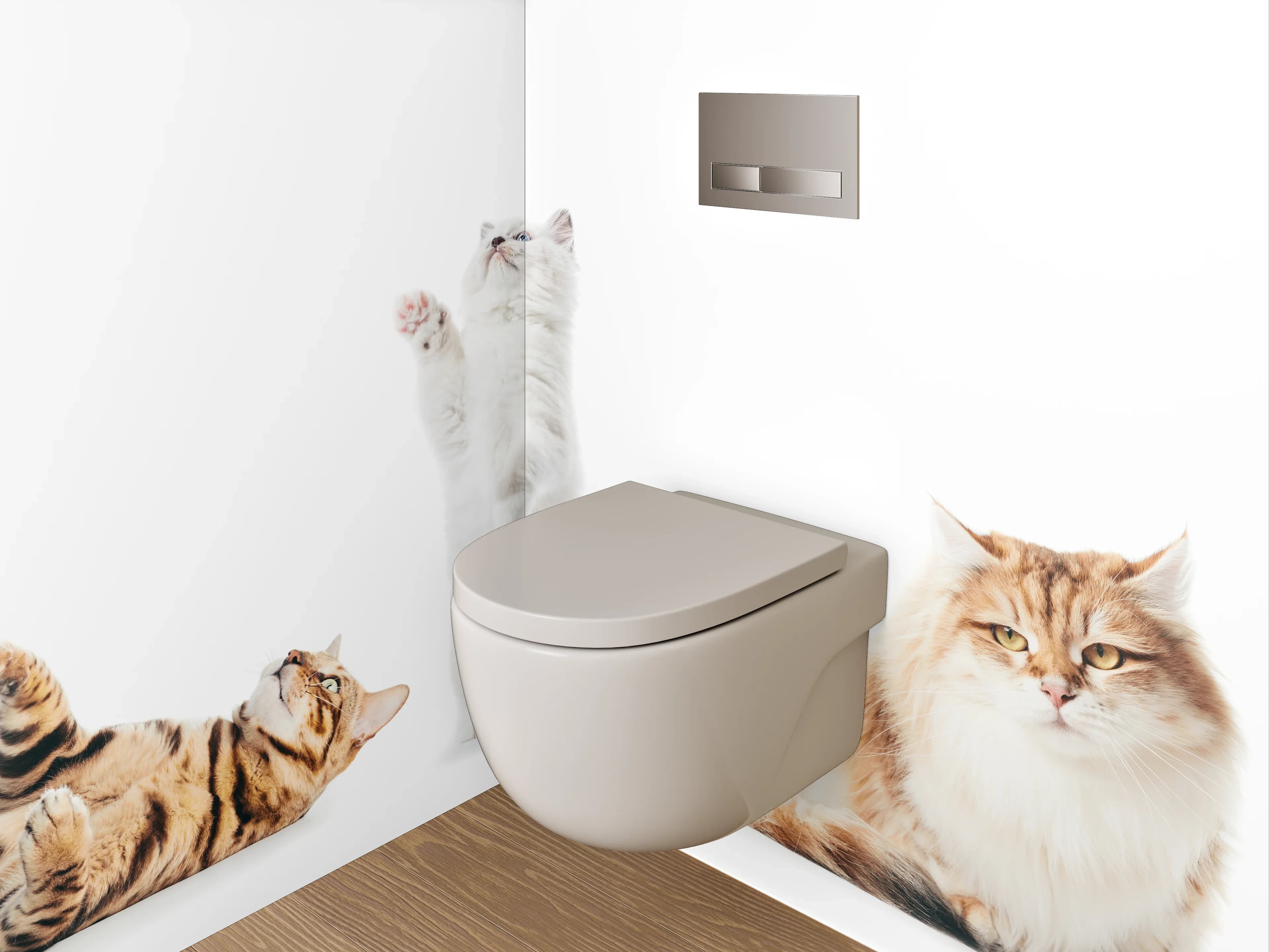 WC-Rückwand - Katzenparade auf weißem Hintergrund