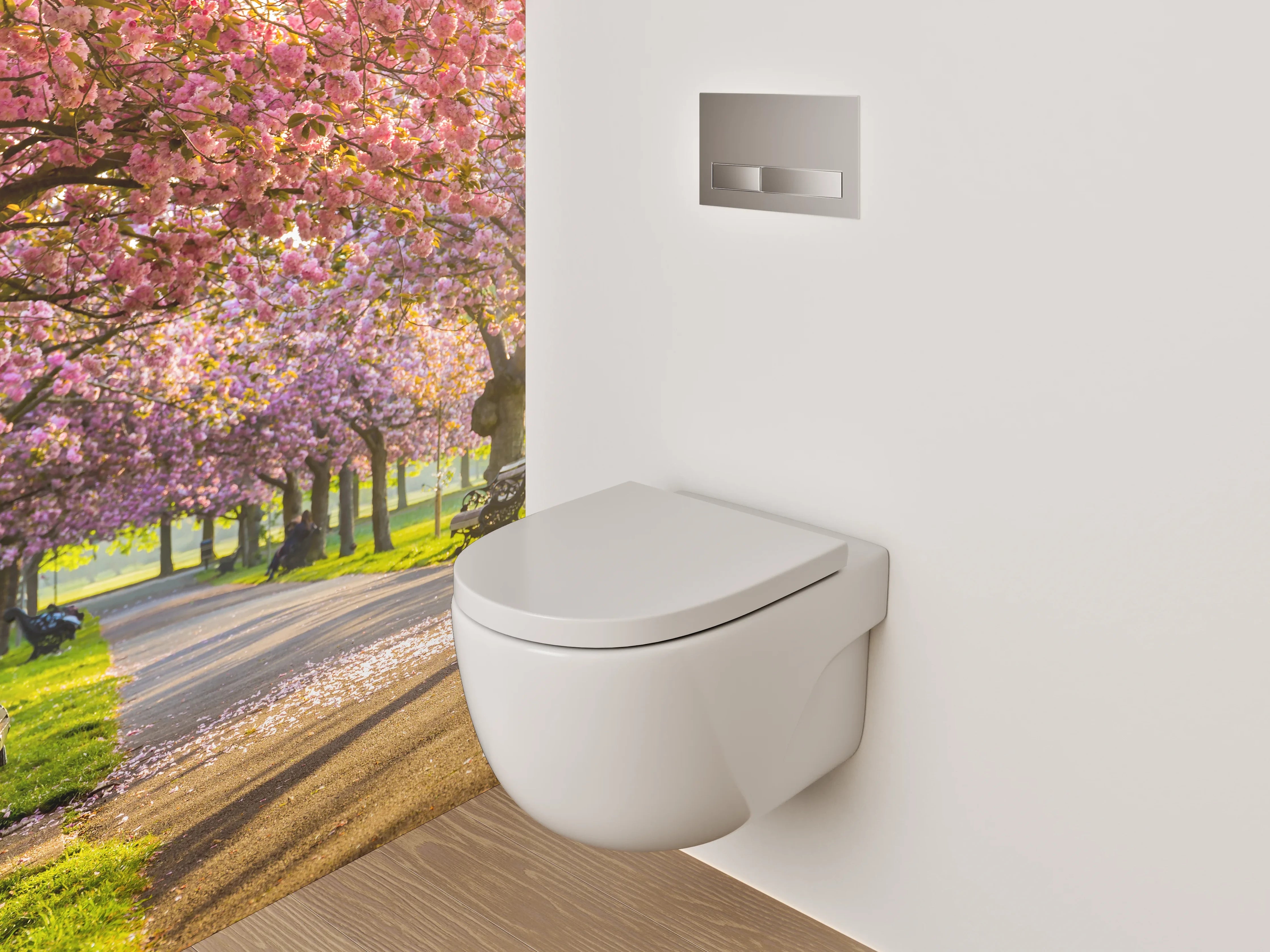 WC-Rückwand - Kirschblüten Allee im Sonnenlicht