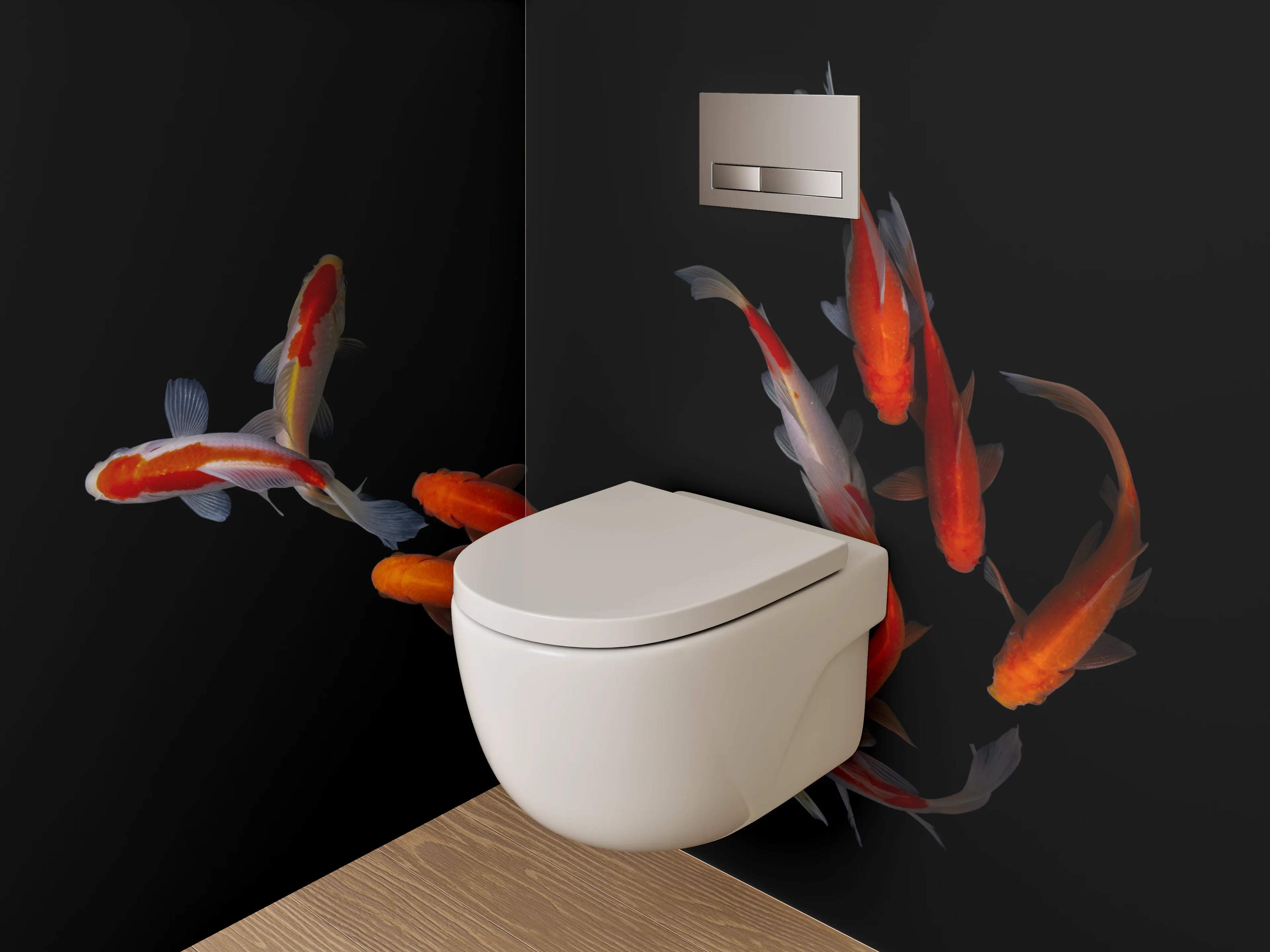 WC-Rückwand - Koi-Fische auf schwarzem Hintergrund