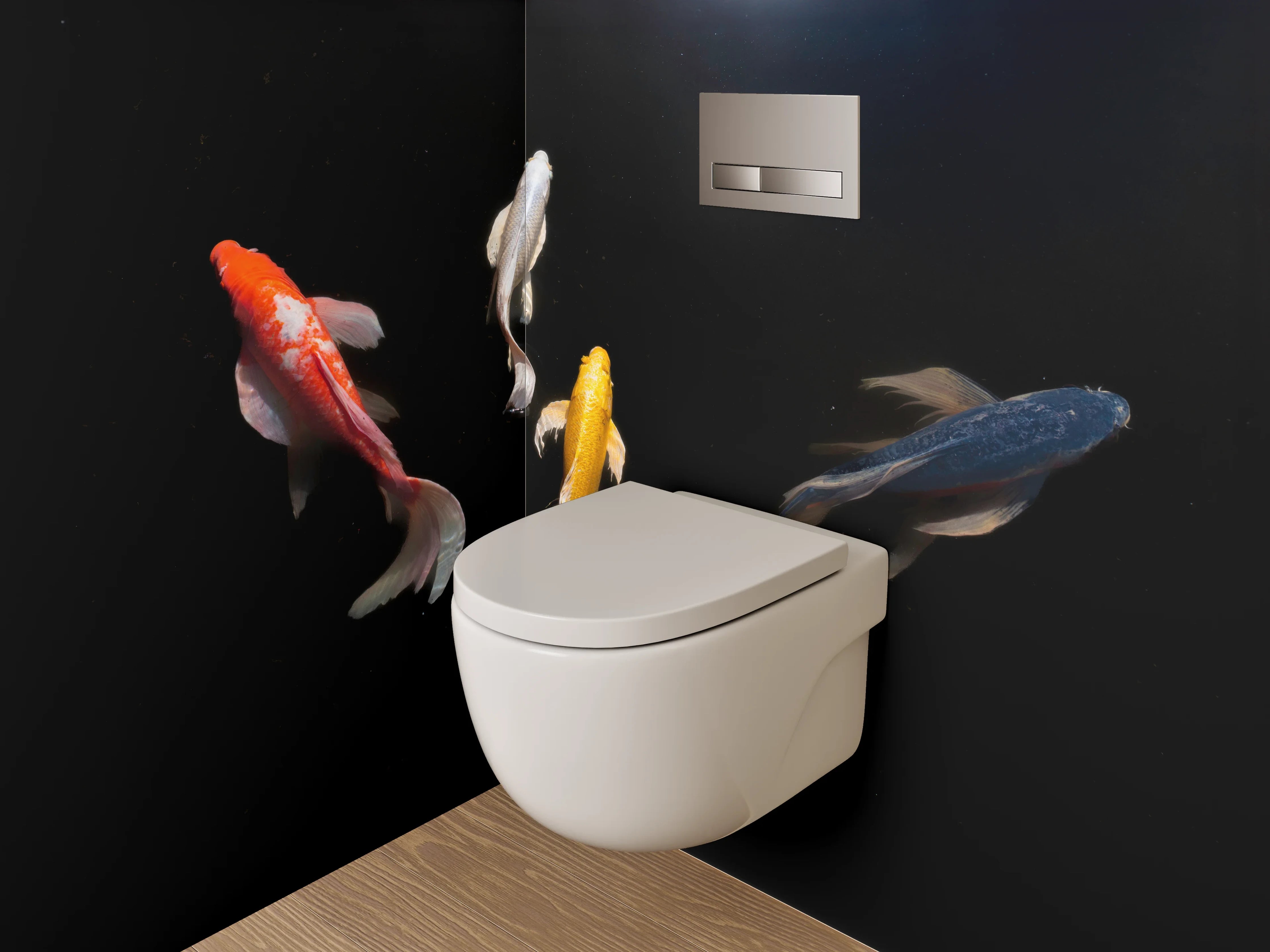 WC-Rückwand - Koi-Karpfen auf schwarzem Hintergrund