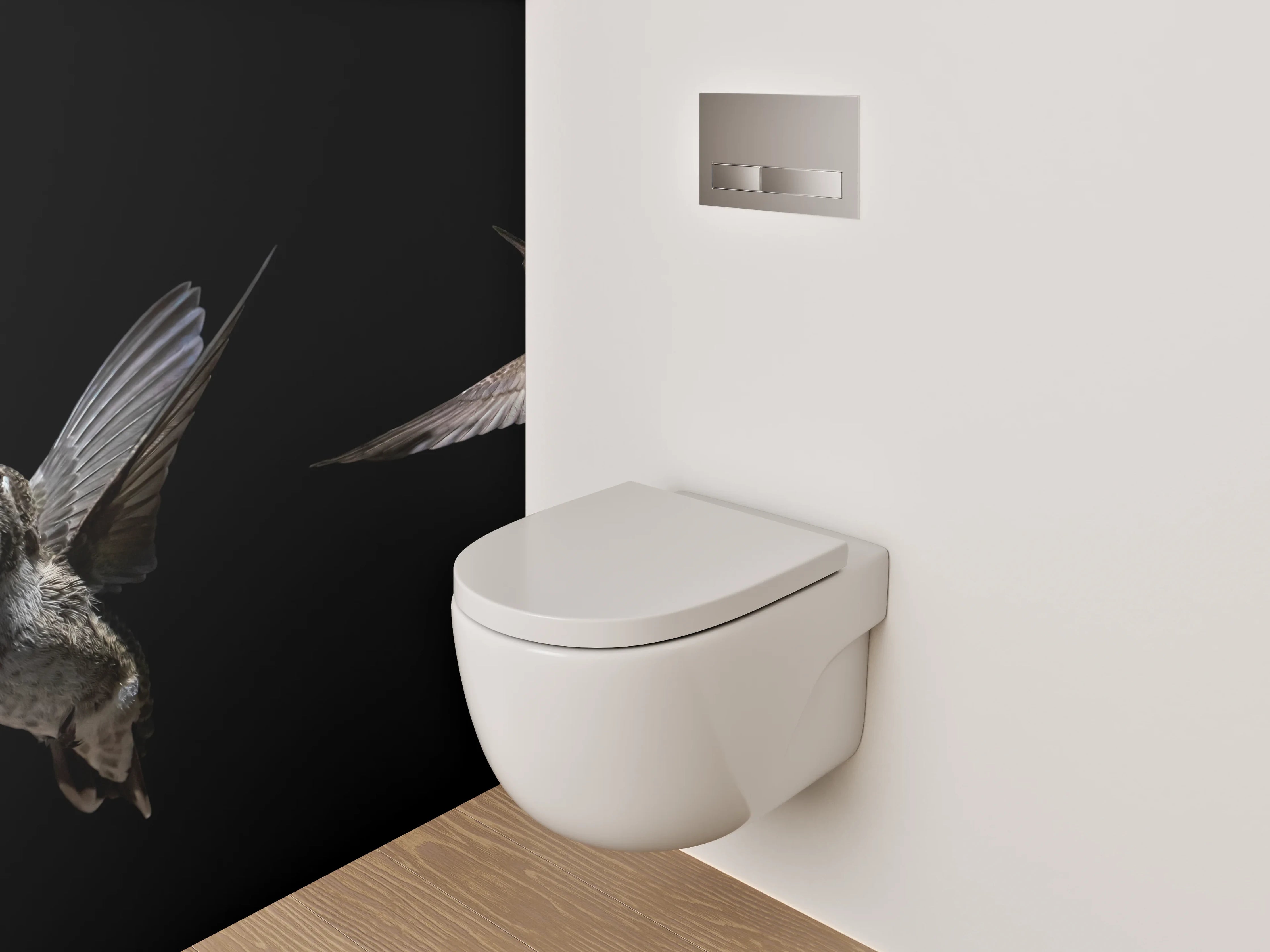 WC-Rückwand - Kolibri bei Blume auf Schwarz