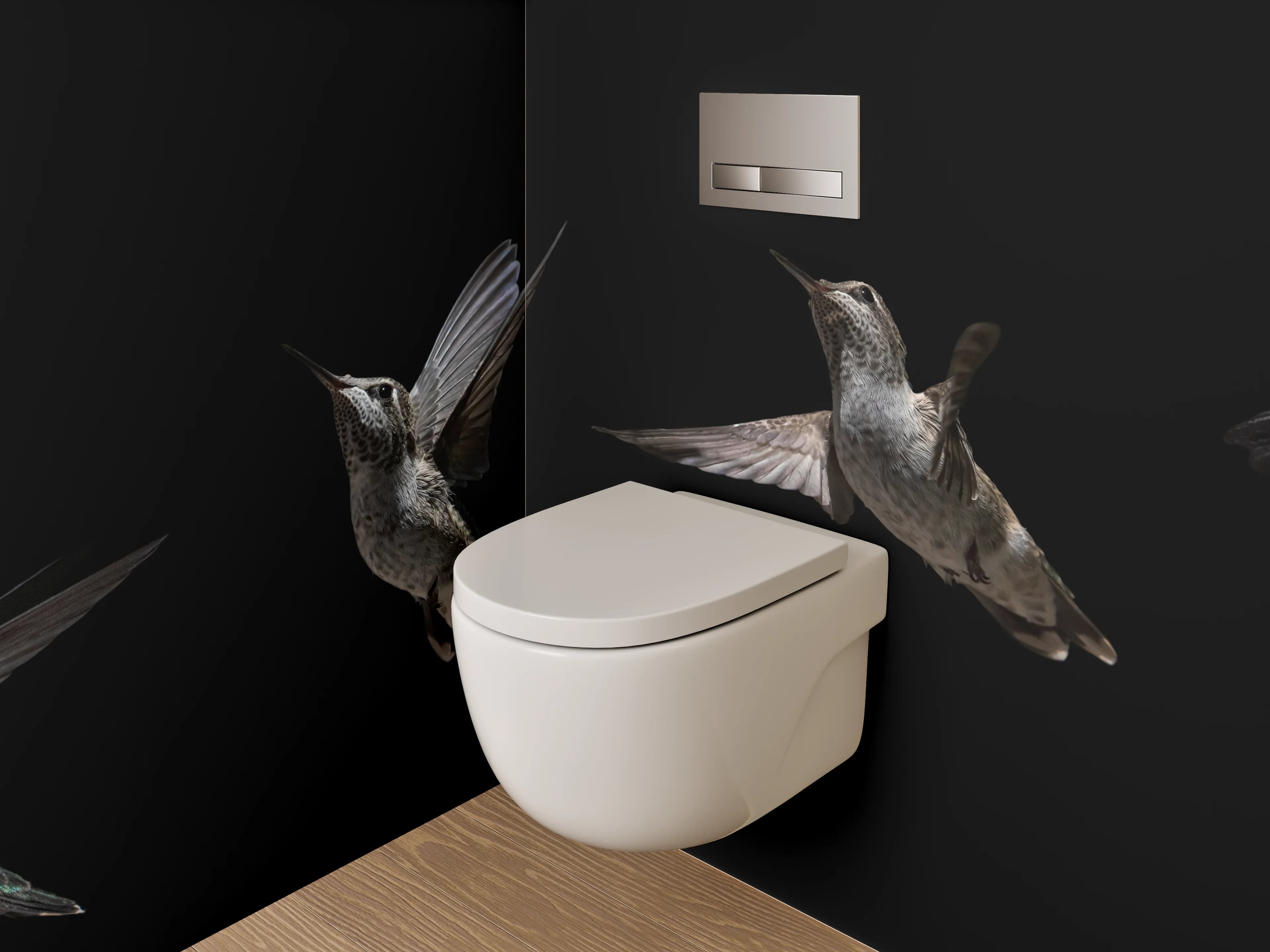 WC-Rückwand - Kolibri bei Blume auf Schwarz