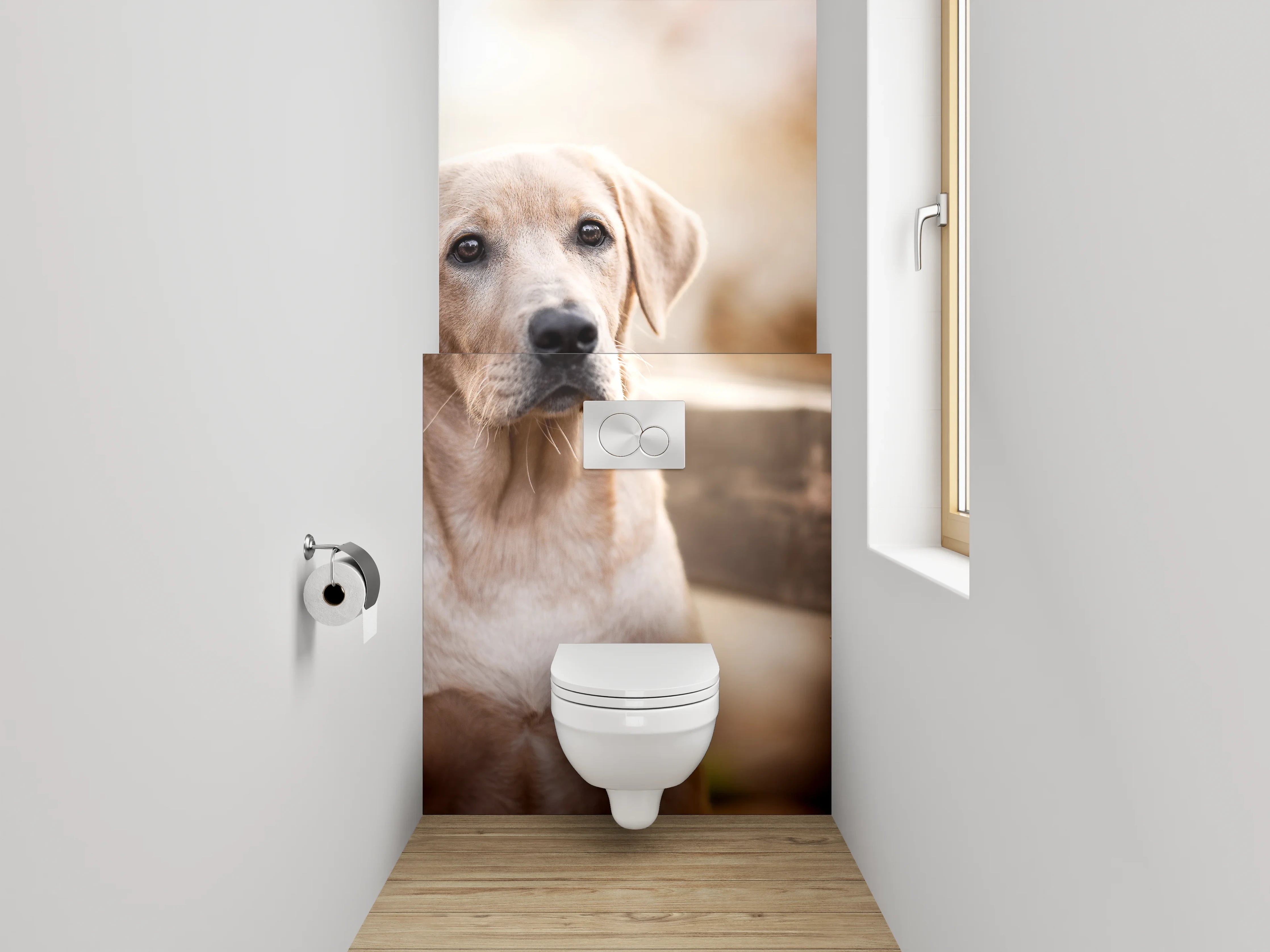 WC-Rückwand - Labrador im Herbst – Hundeportrait