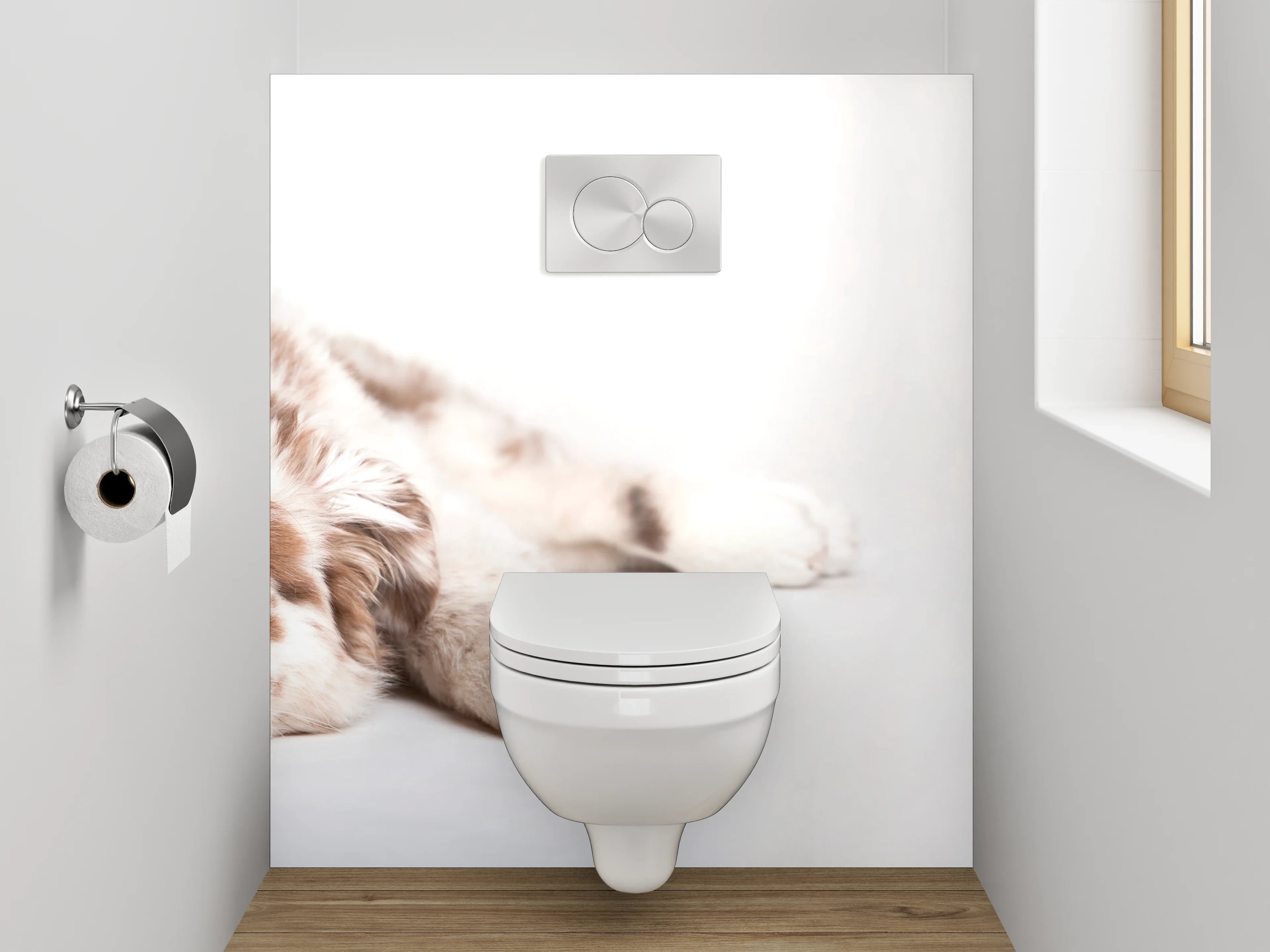 WC-Rückwand - Liegender Hund mit blauen Augen