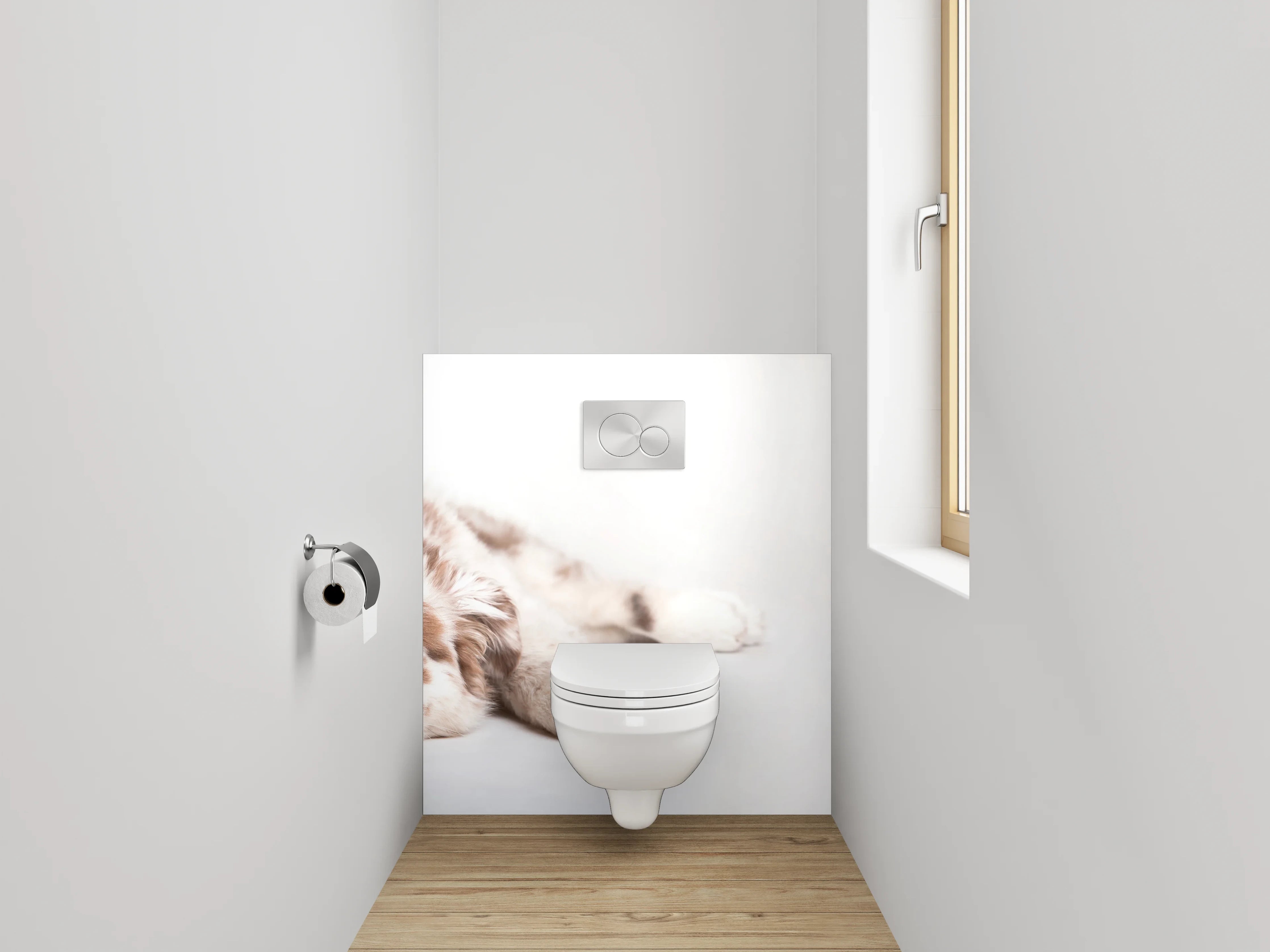 WC-Rückwand - Liegender Hund mit blauen Augen