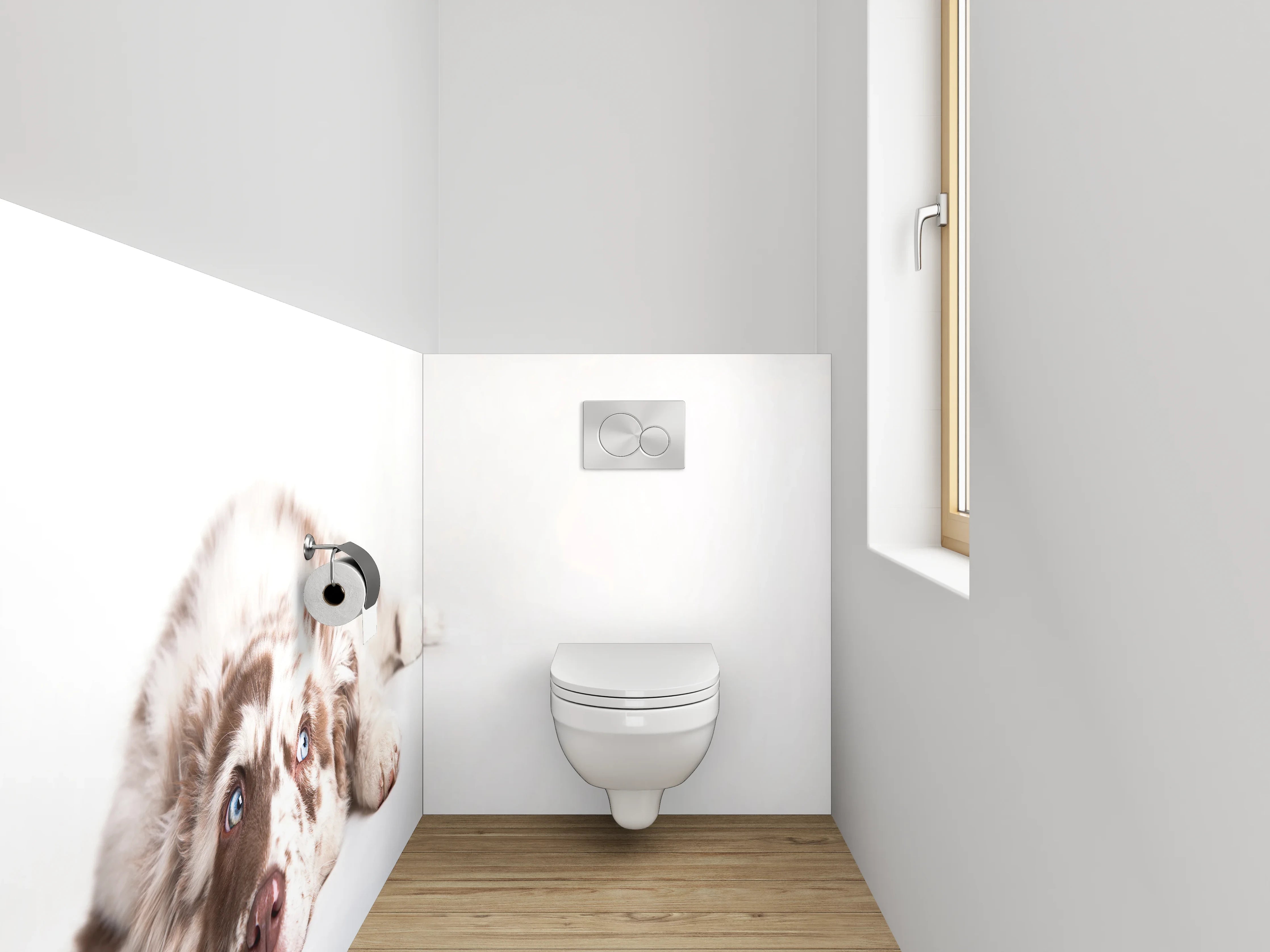 WC-Rückwand - Liegender Hund mit blauen Augen