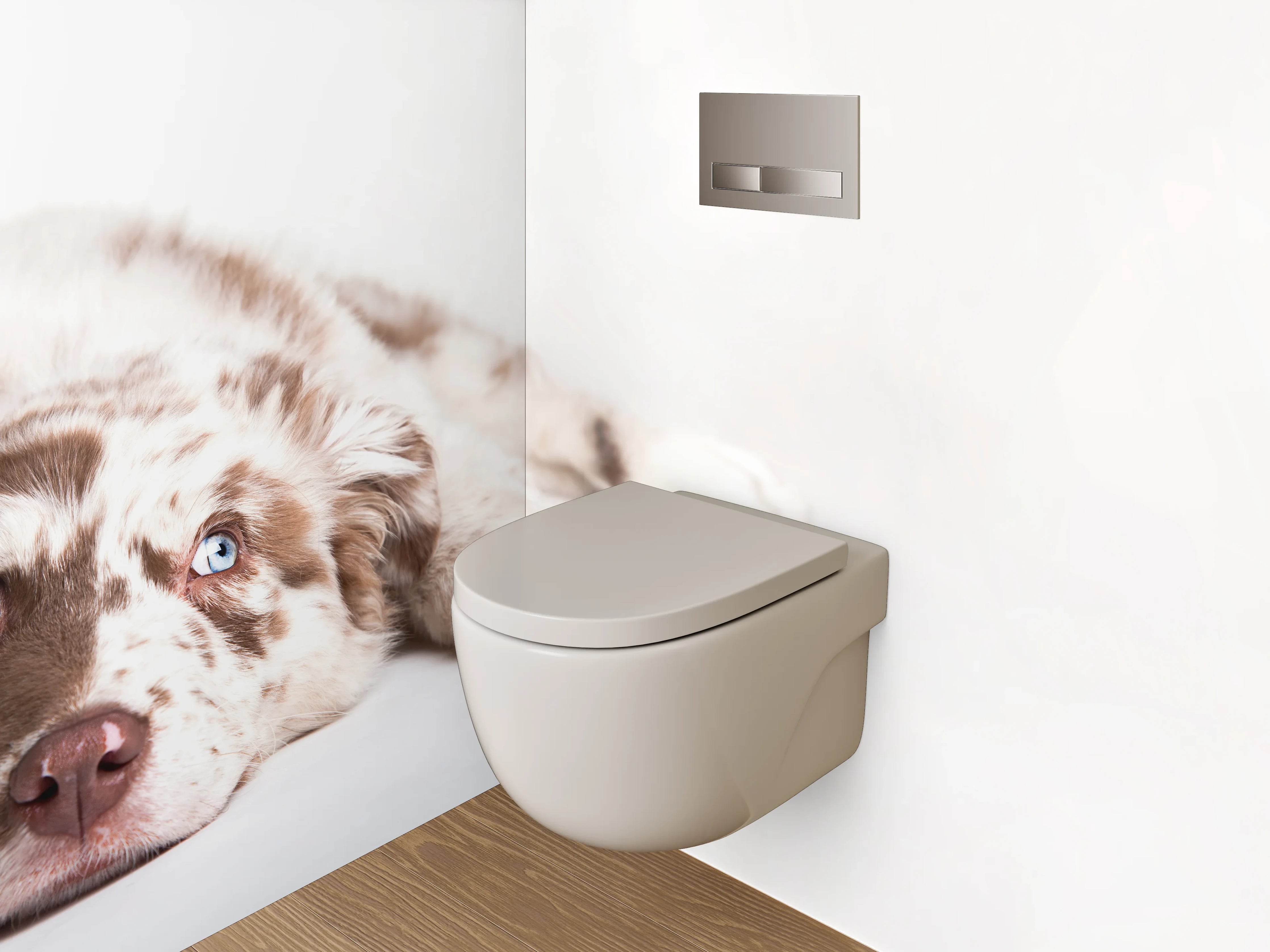 WC-Rückwand - Liegender Hund mit blauen Augen