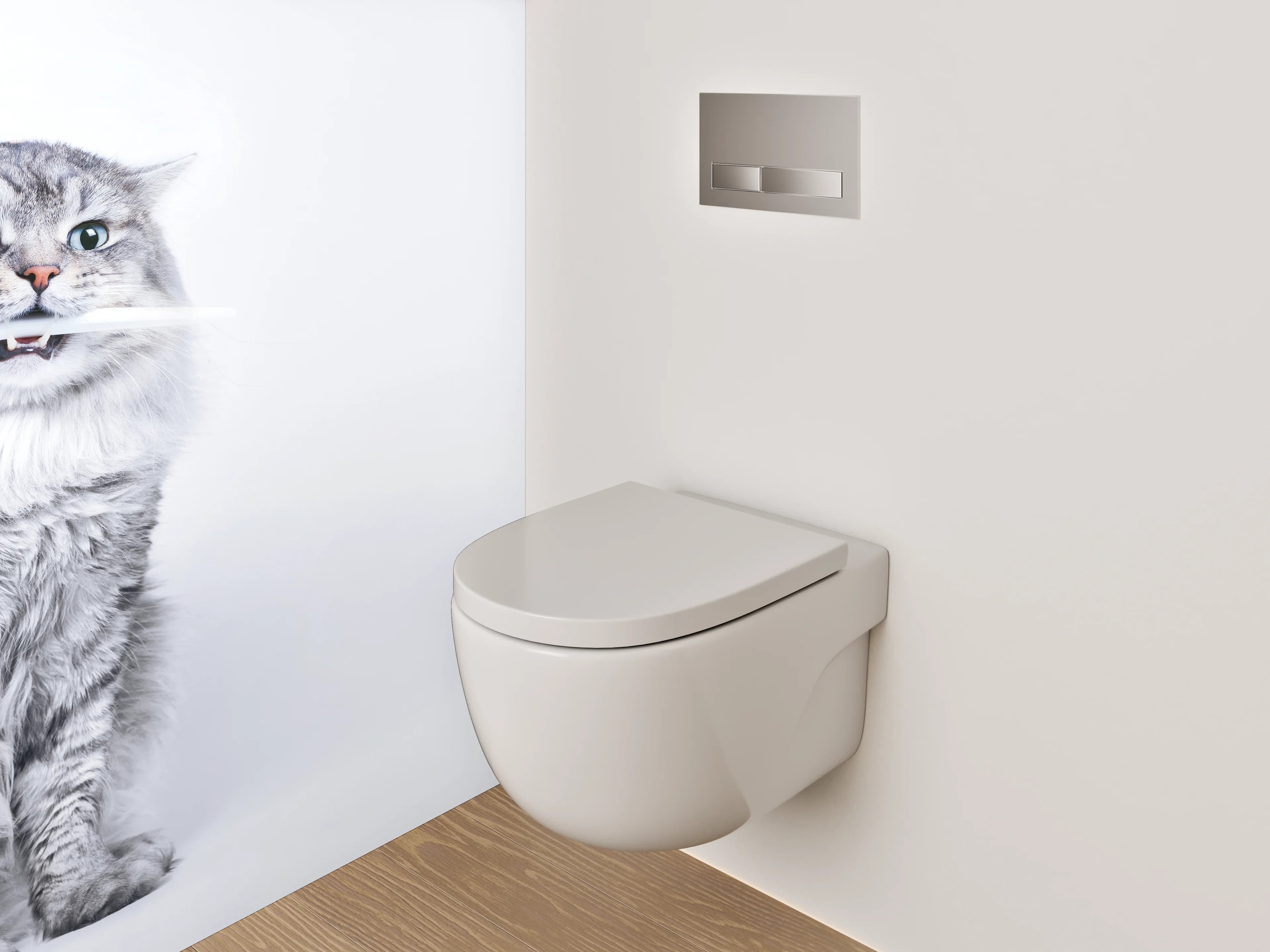 WC-Rückwand - Lustige Katze mit Zahnbürste Weiß-Grau