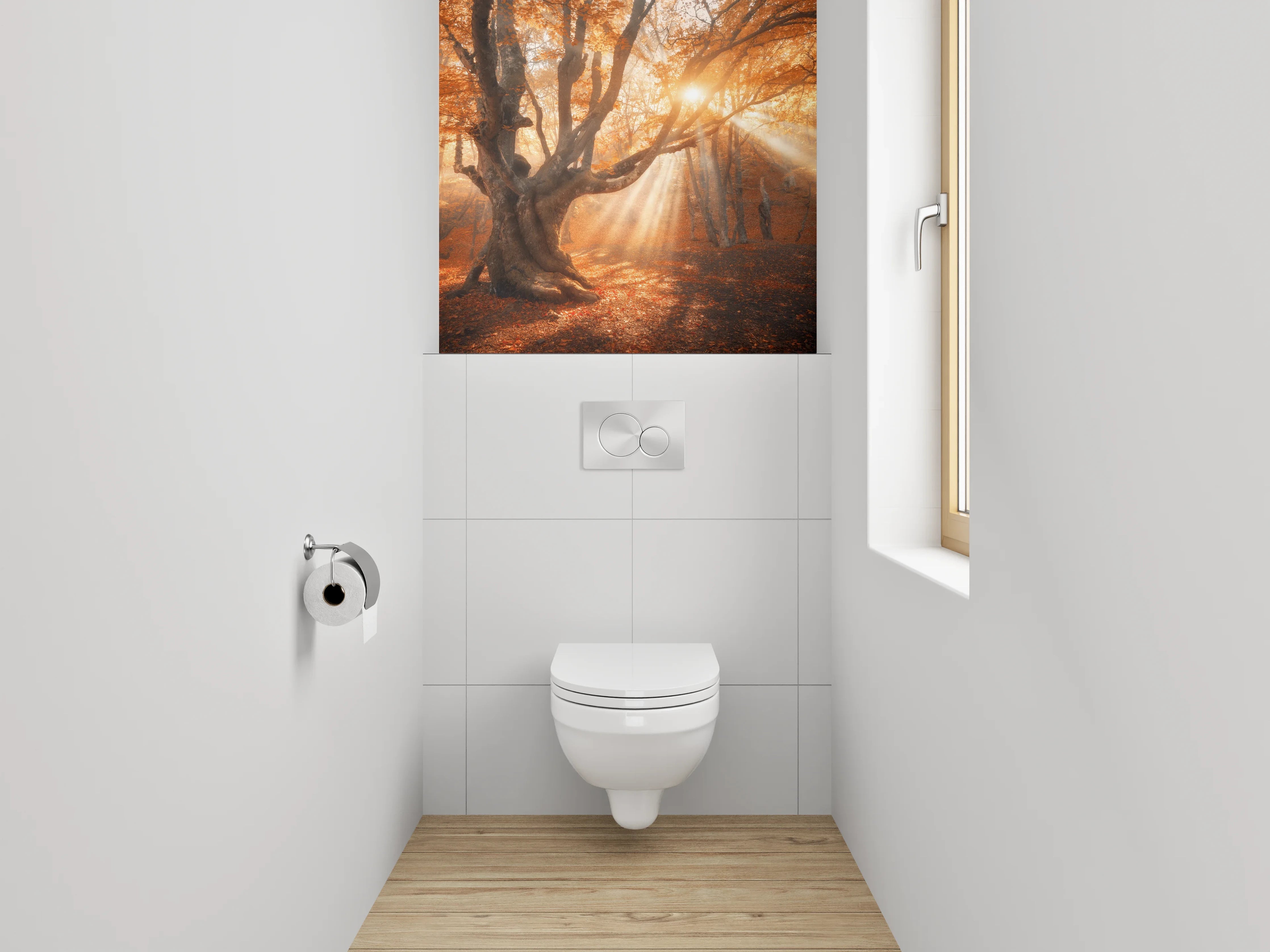 WC-Rückwand - Magischer Sonnenstrahl im Herbstwald