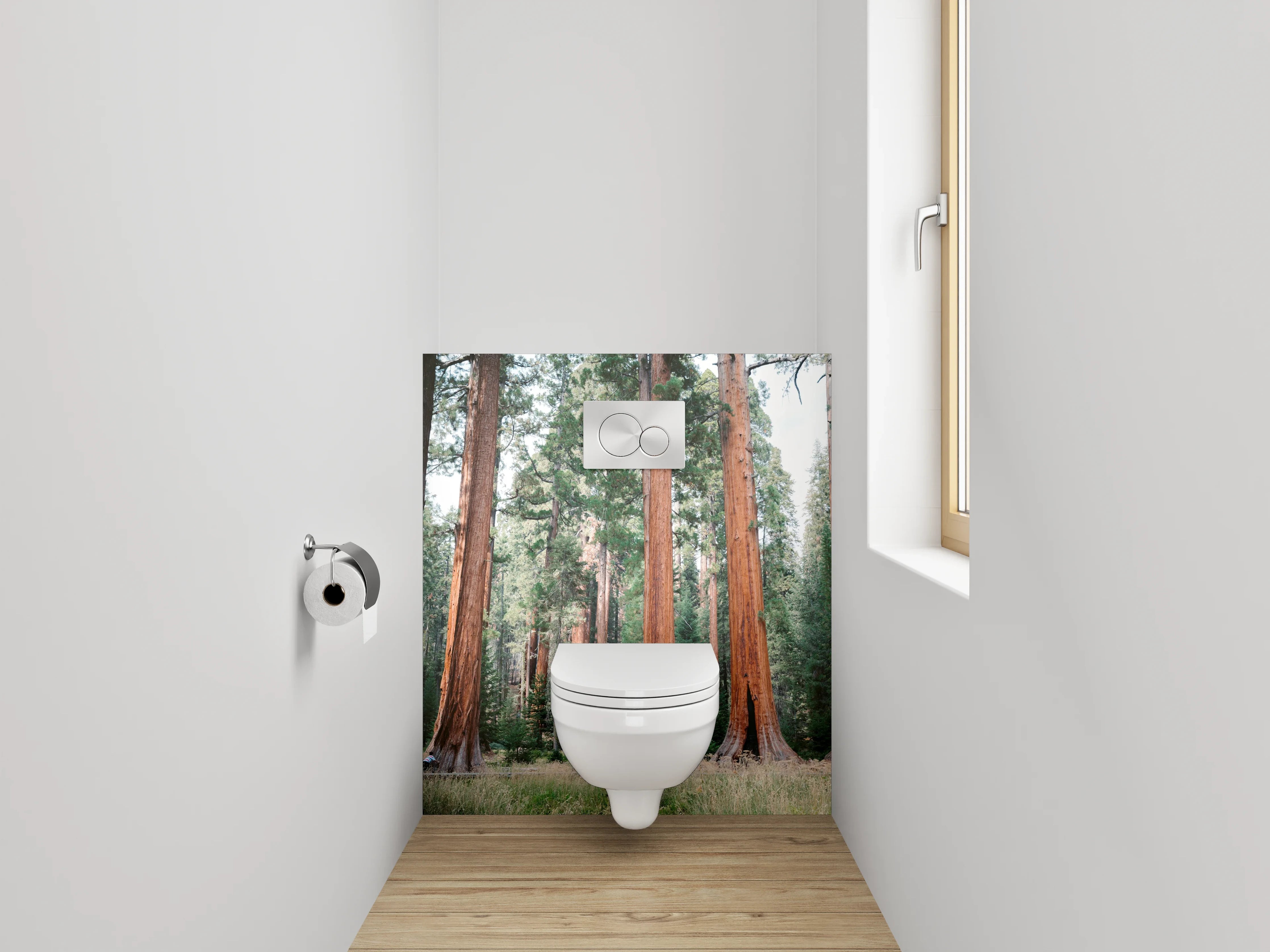 WC-Rückwand - Majestätische Mammutbäume im Sonnenlicht