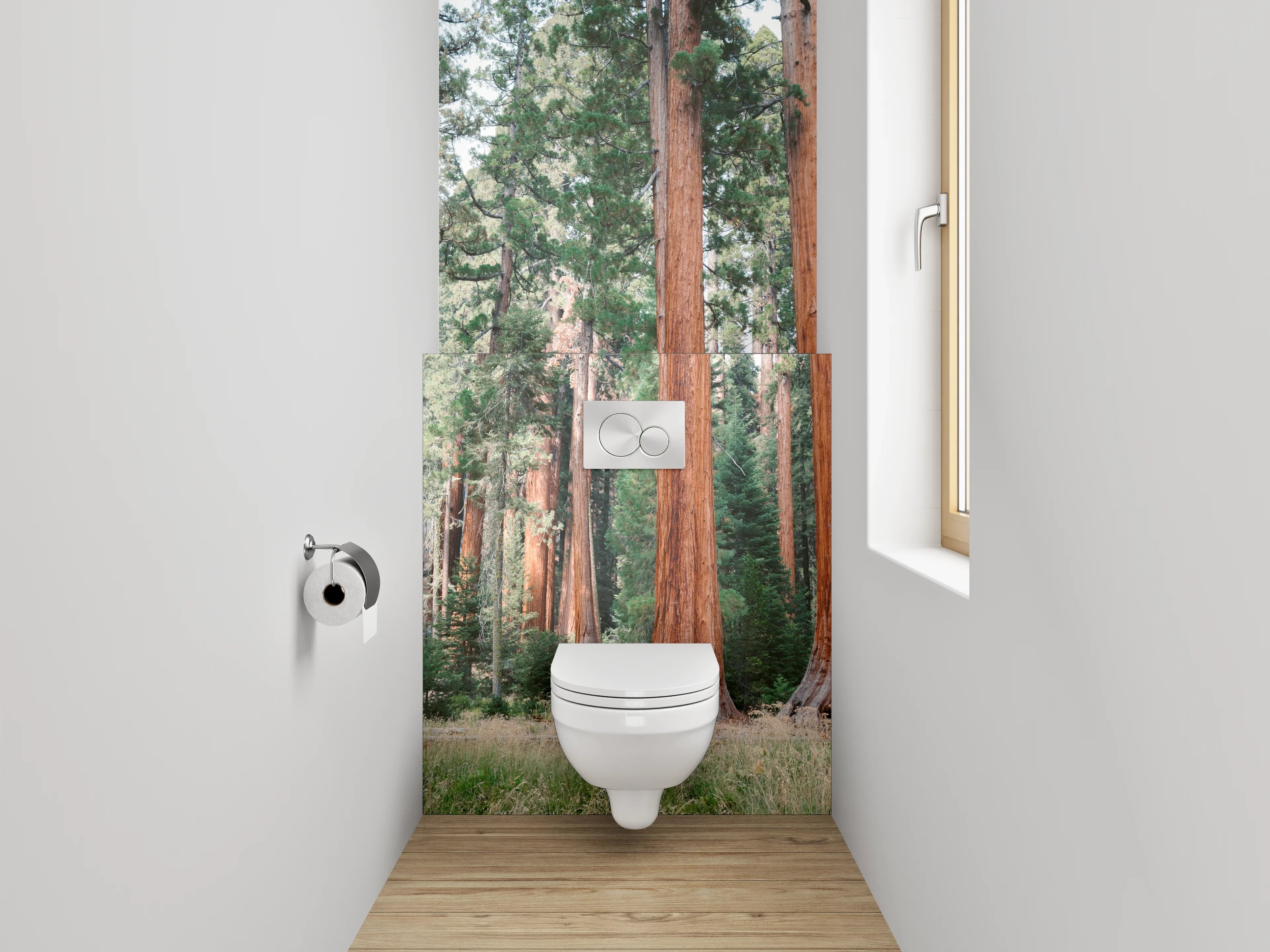 WC-Rückwand - Majestätische Mammutbäume im Sonnenlicht