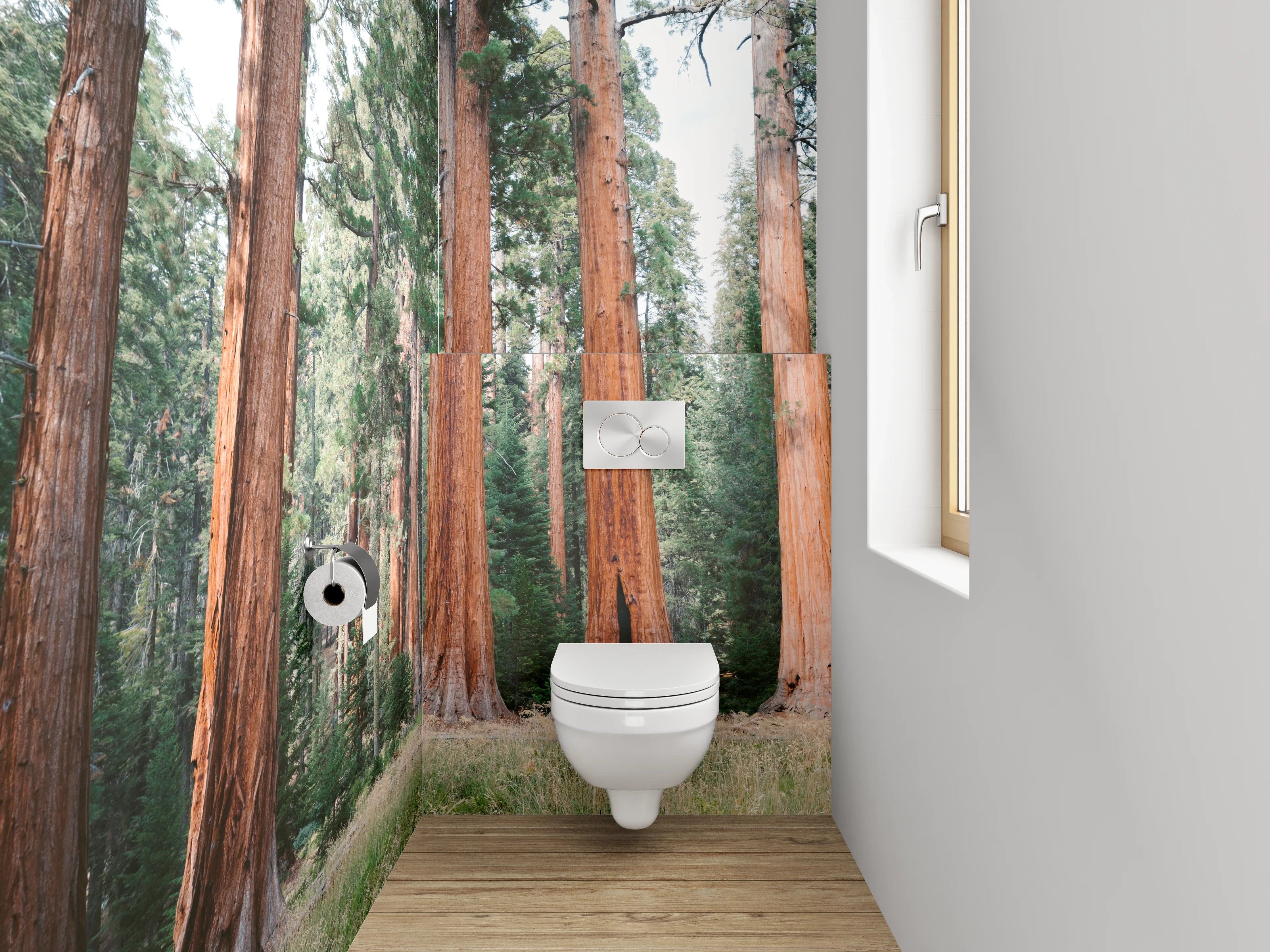 WC-Rückwand - Majestätische Mammutbäume im Sonnenlicht