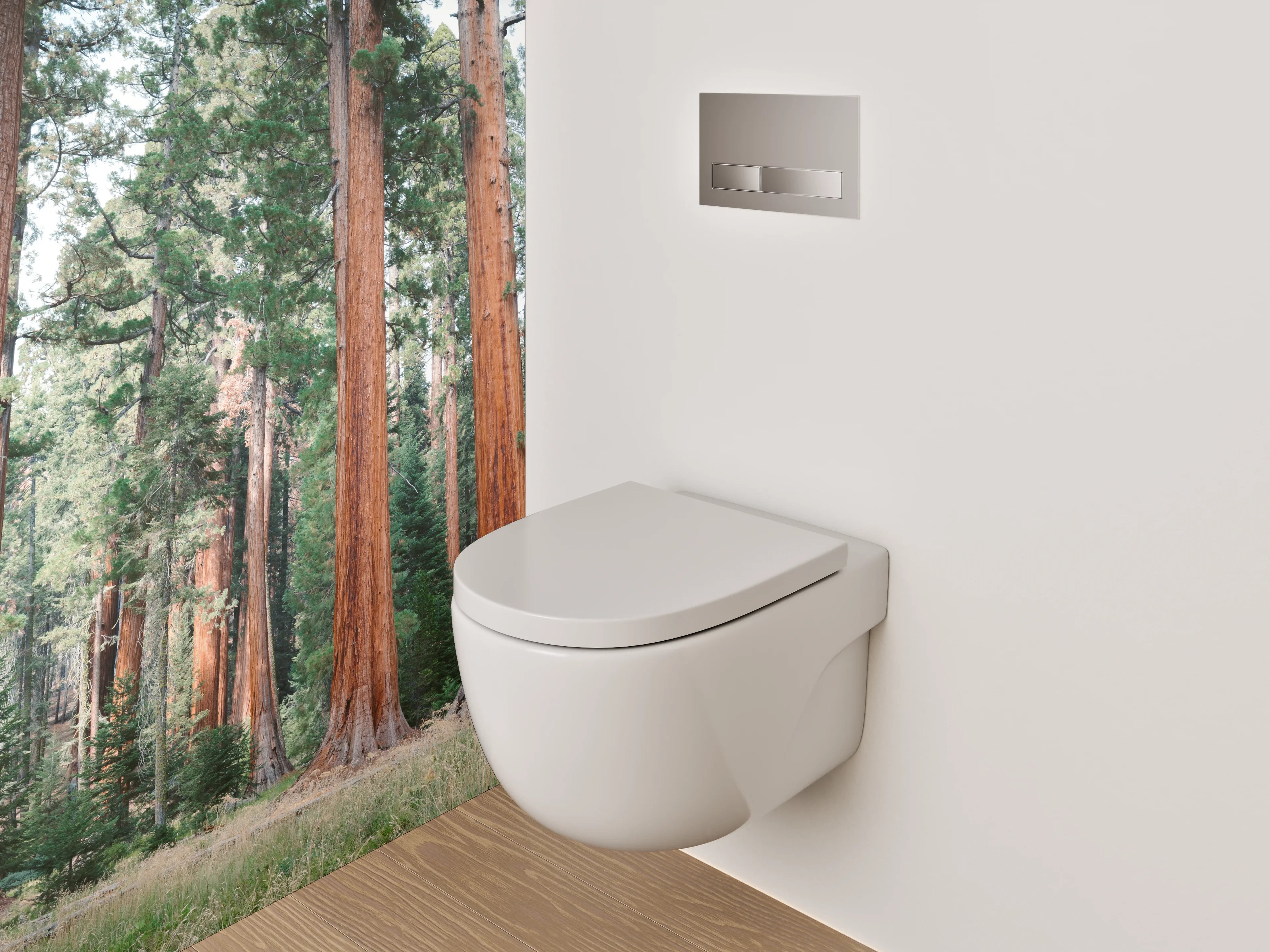 WC-Rückwand - Majestätische Mammutbäume im Sonnenlicht