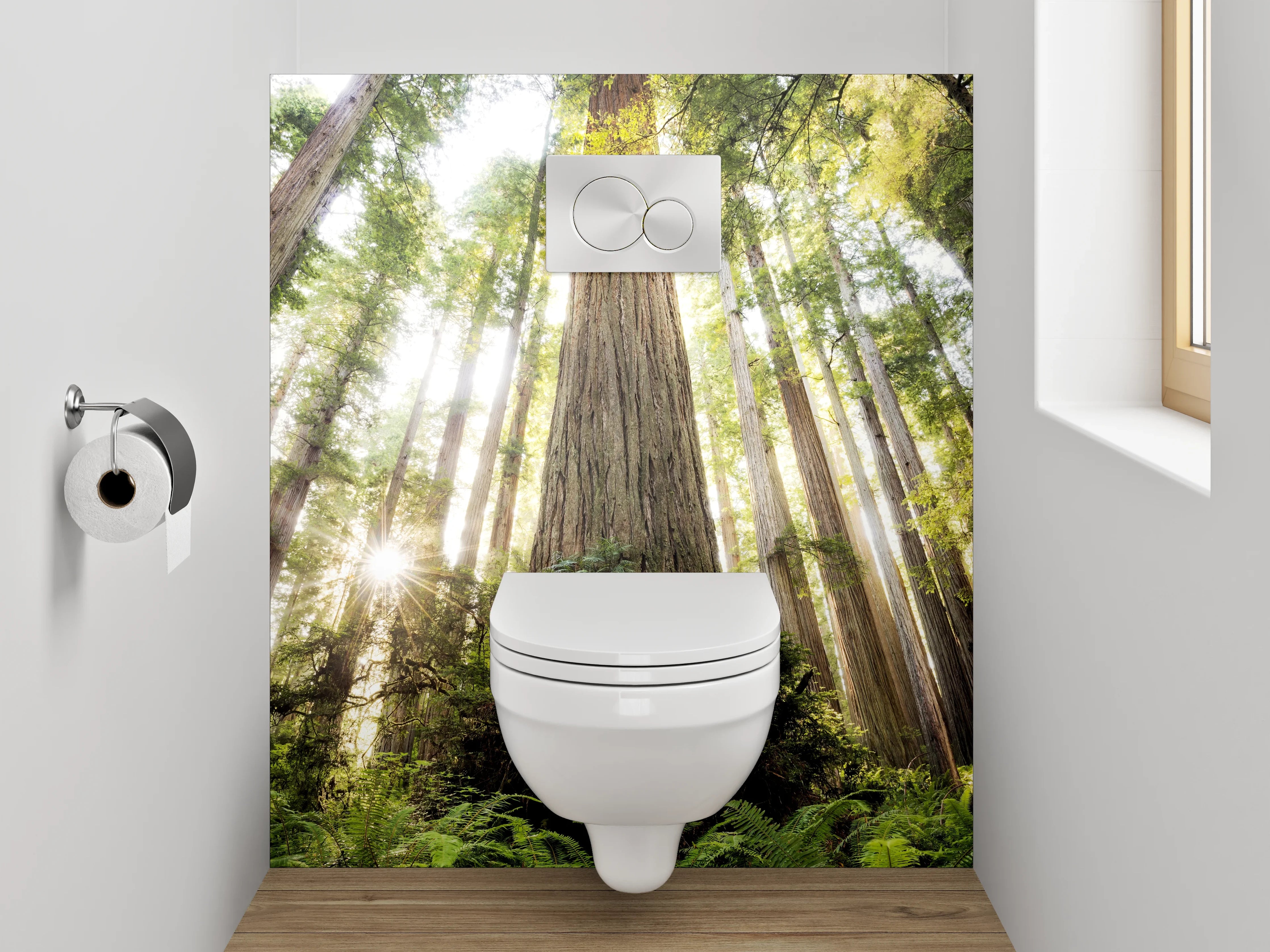 WC-Rückwand - Majestätische Redwood-Bäume im Sonnenlicht