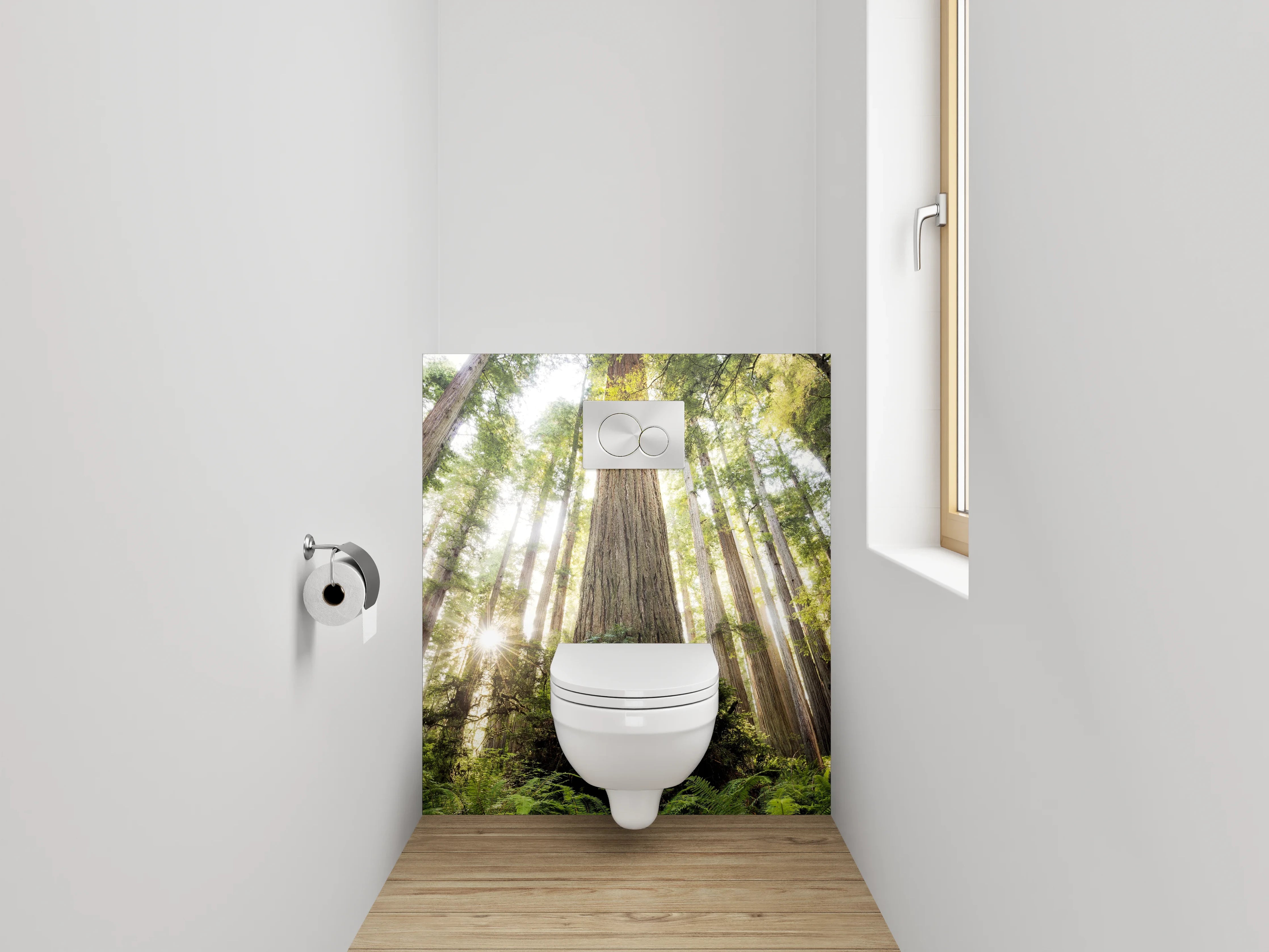 WC-Rückwand - Majestätische Redwood-Bäume im Sonnenlicht