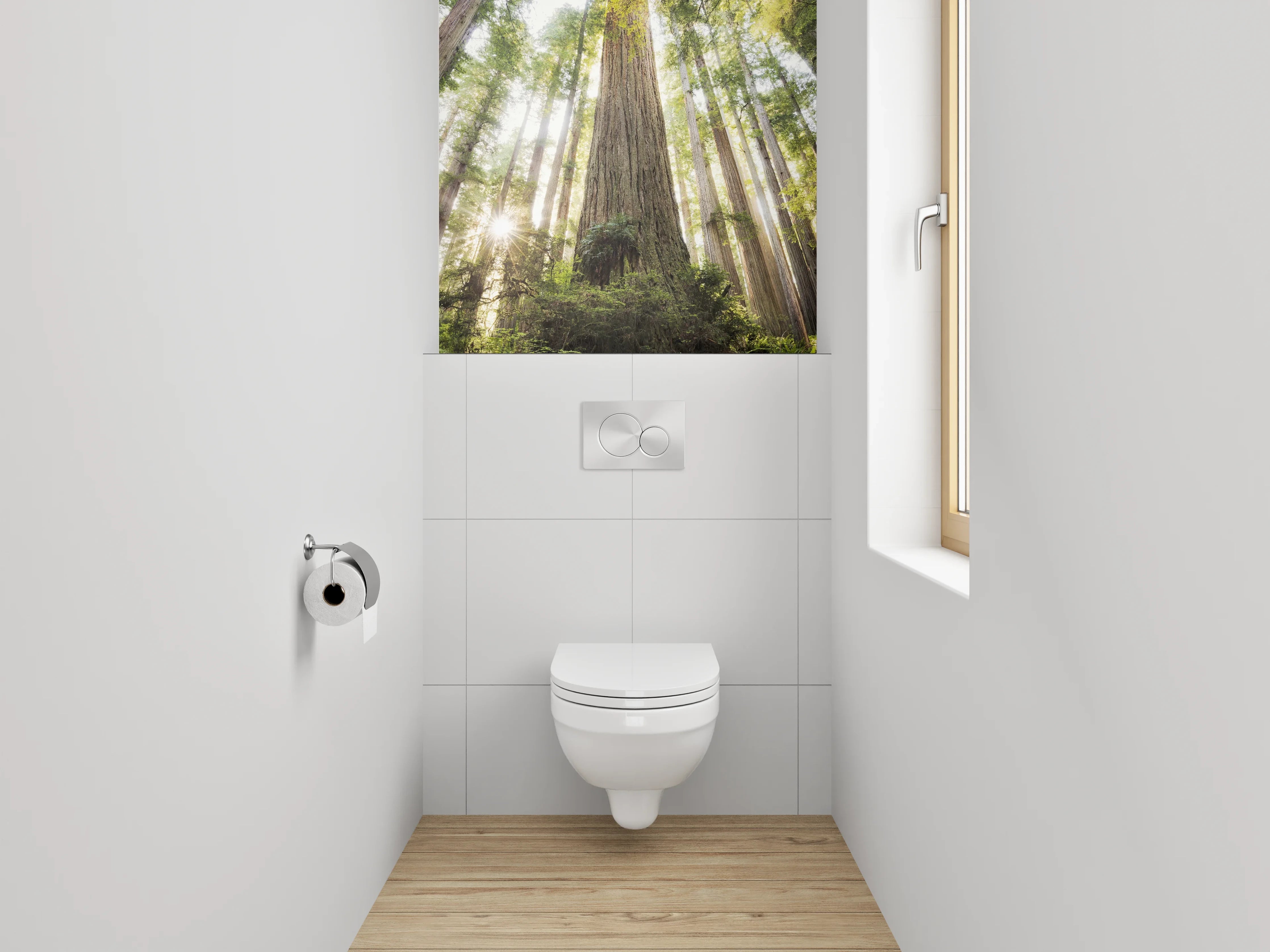 WC-Rückwand - Majestätische Redwood-Bäume im Sonnenlicht