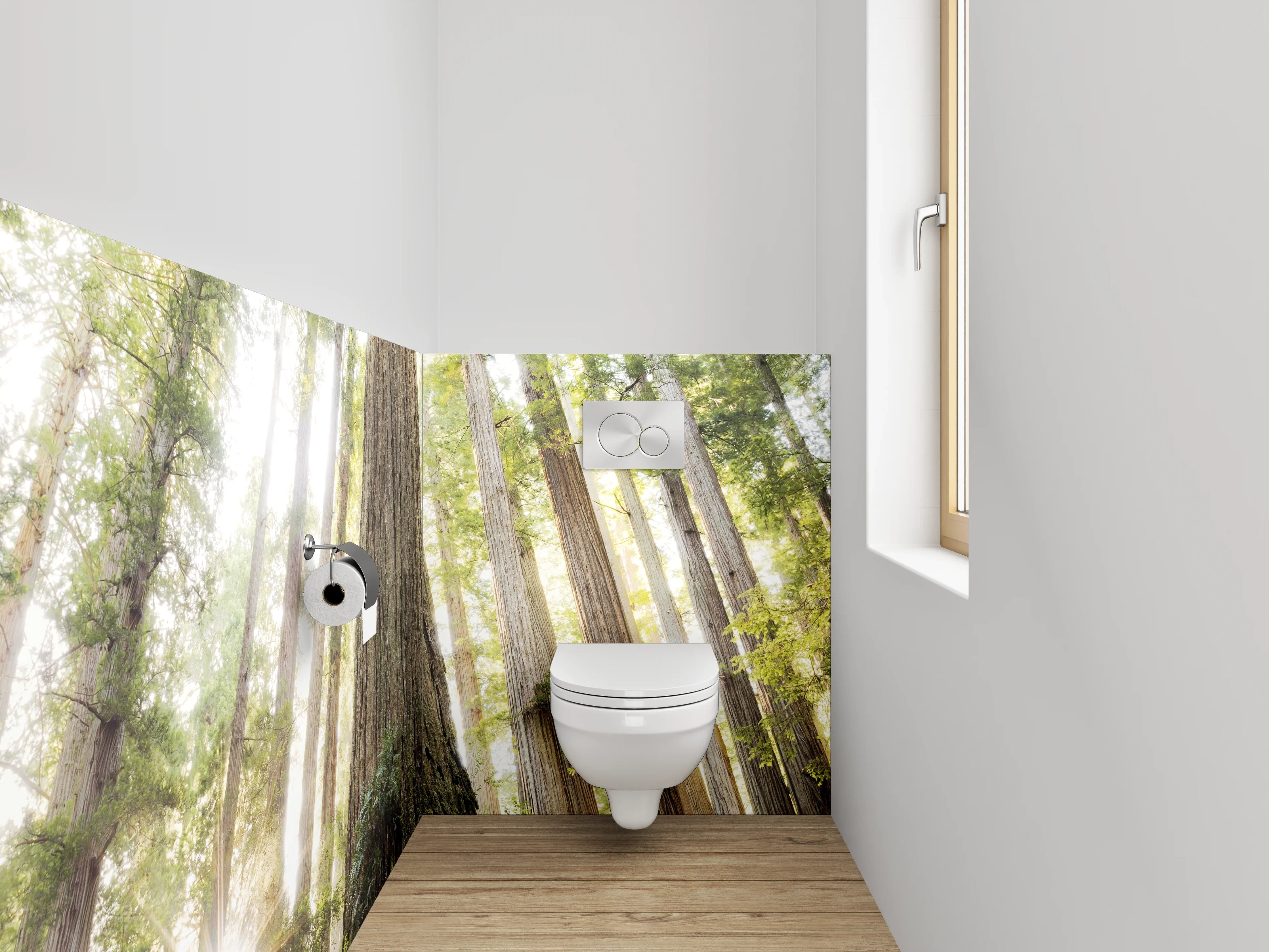 WC-Rückwand - Majestätische Redwood-Bäume im Sonnenlicht