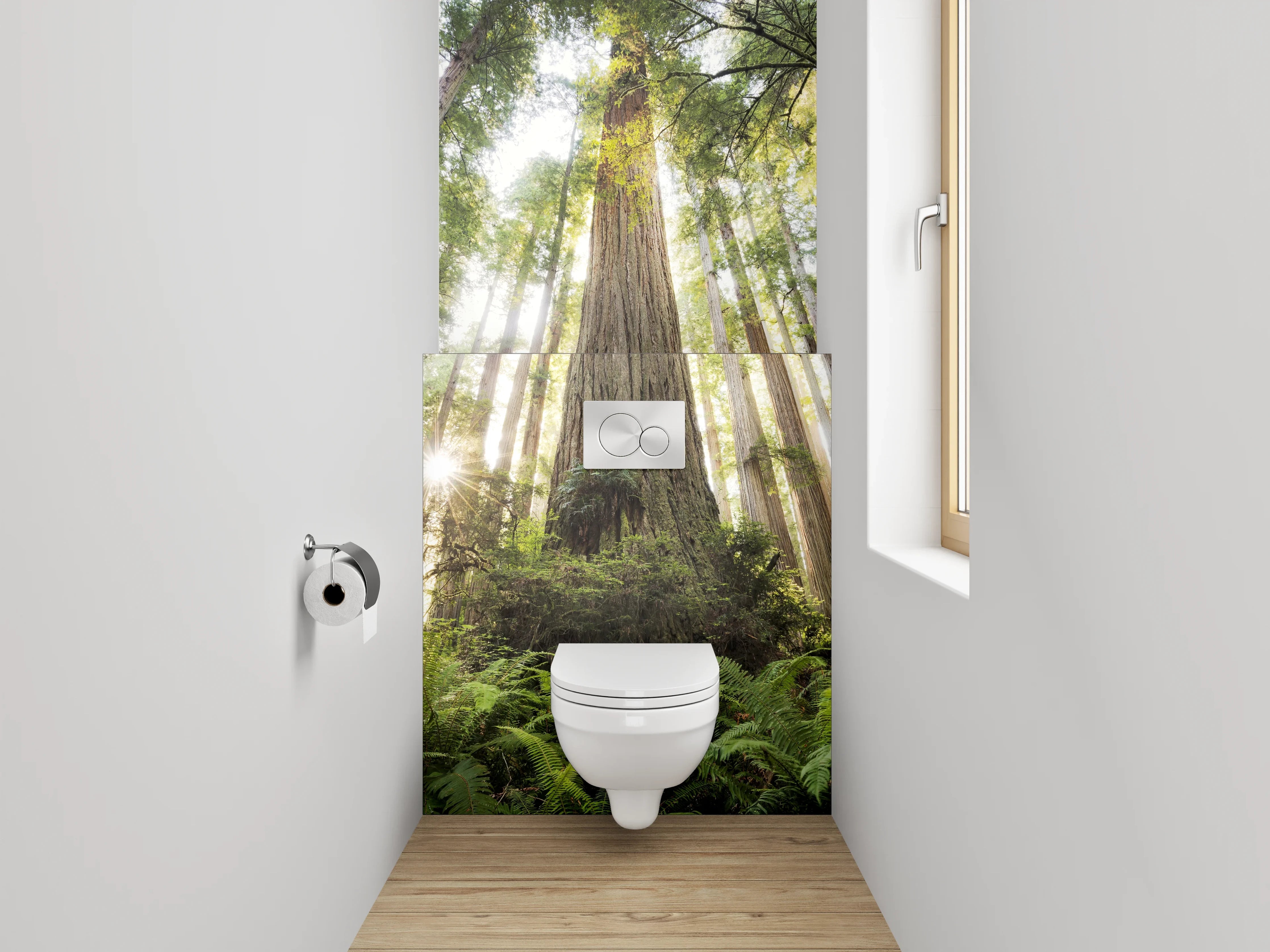 WC-Rückwand - Majestätische Redwood-Bäume im Sonnenlicht