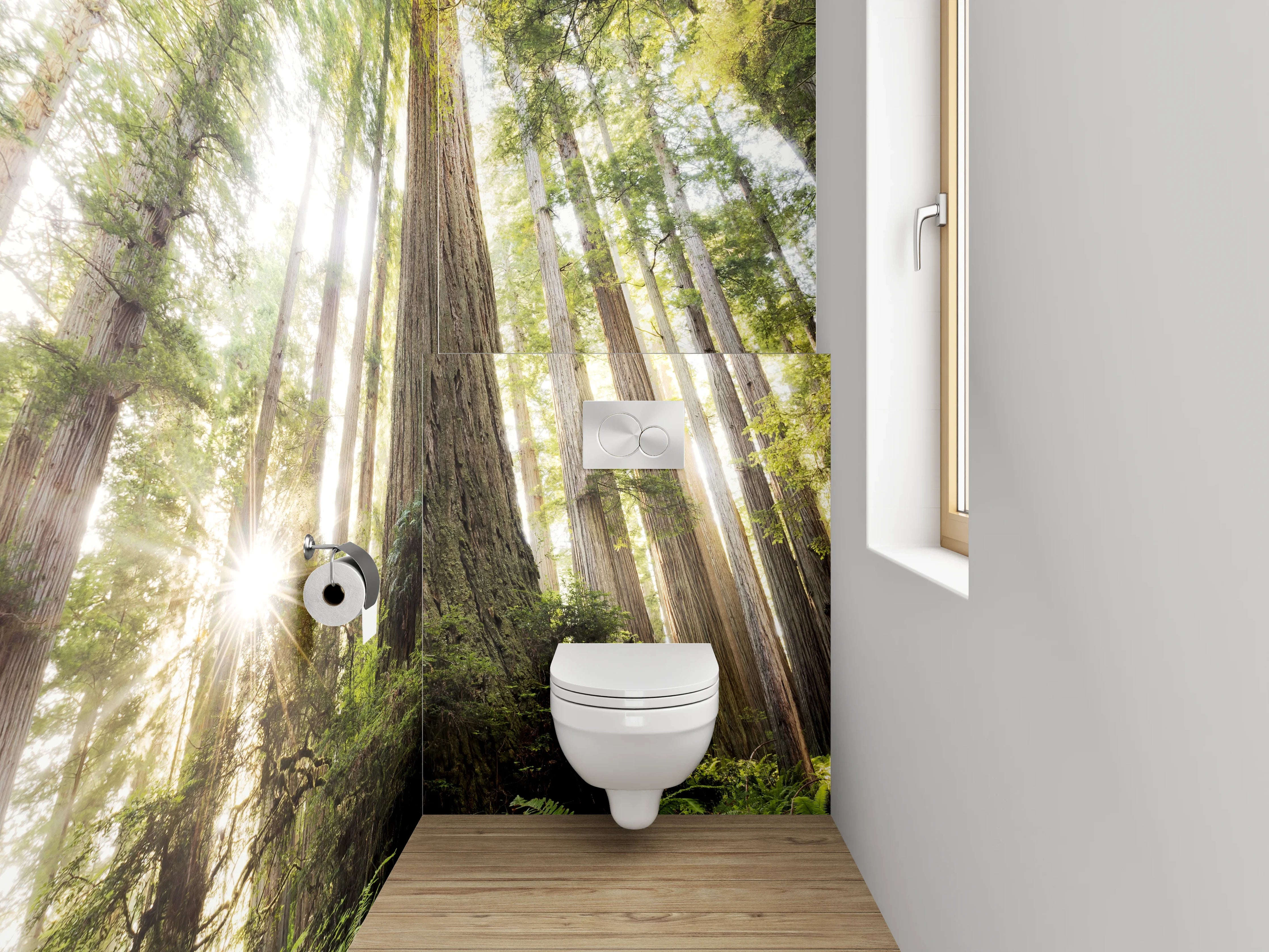 WC-Rückwand - Majestätische Redwood-Bäume im Sonnenlicht
