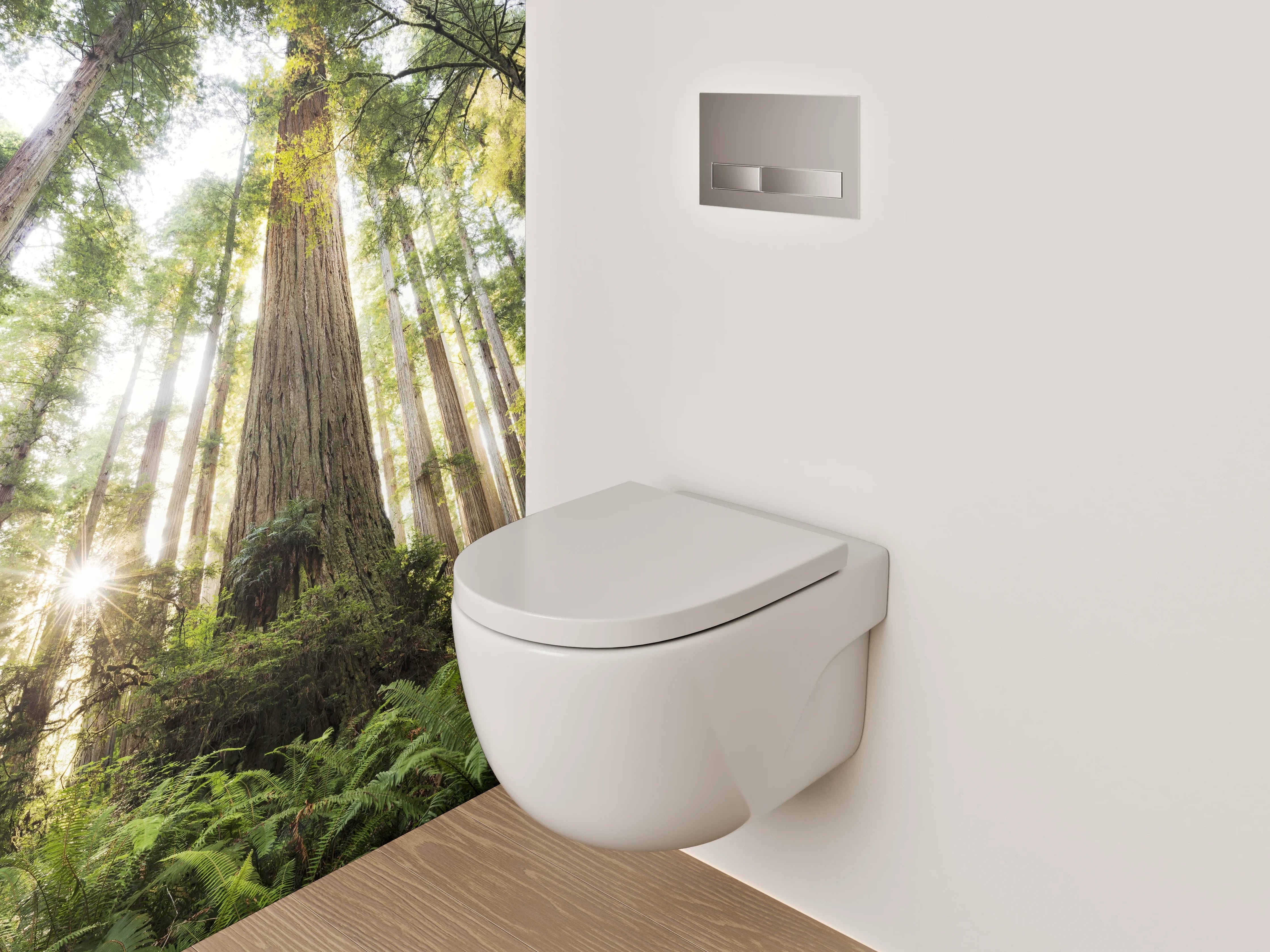 WC-Rückwand - Majestätische Redwood-Bäume im Sonnenlicht