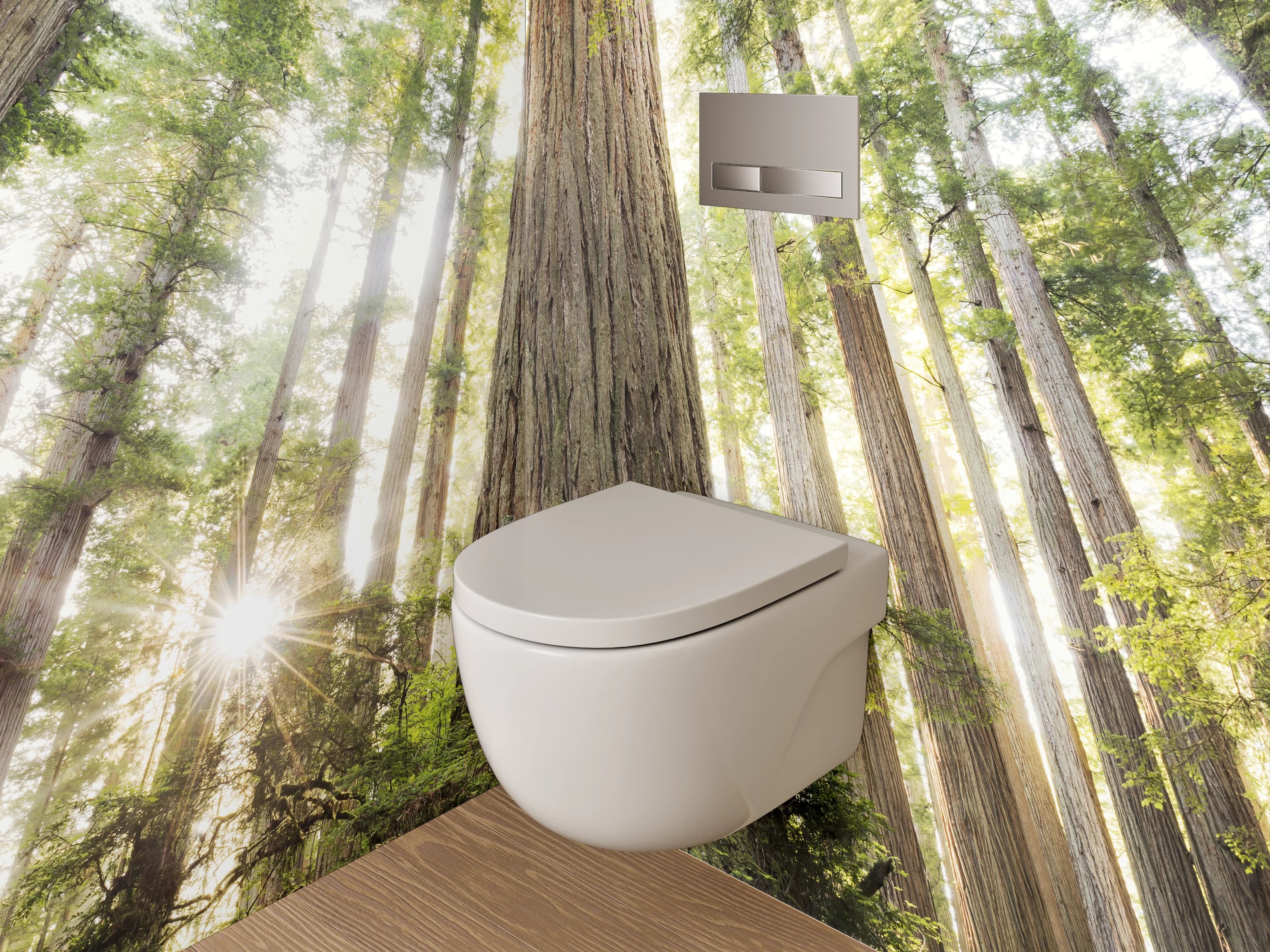 WC-Rückwand - Majestätische Redwood-Bäume im Sonnenlicht
