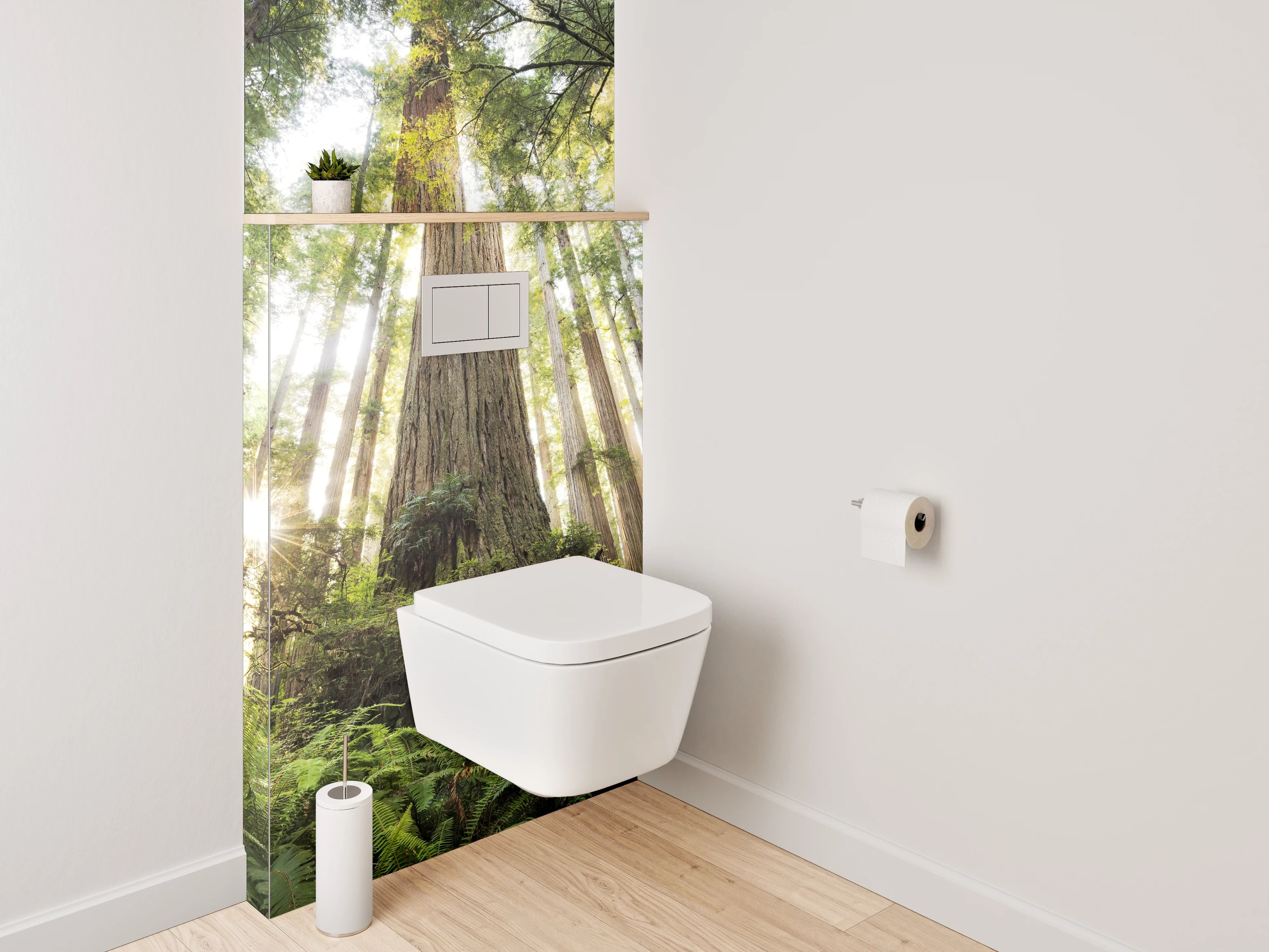 WC-Rückwand - Majestätische Redwood-Bäume im Sonnenlicht