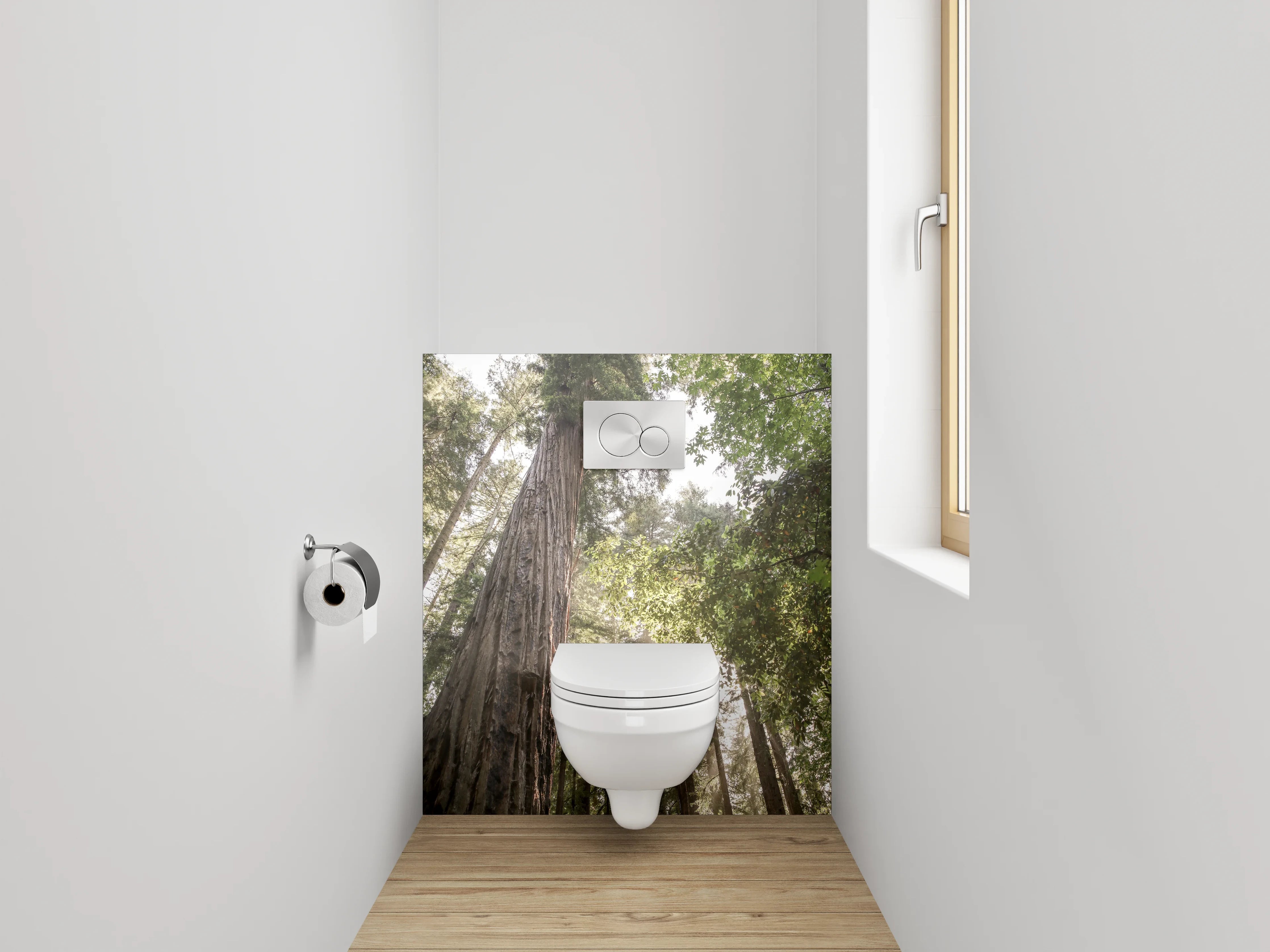 WC-Rückwand - Majestätische Redwoods im Sonnenlicht