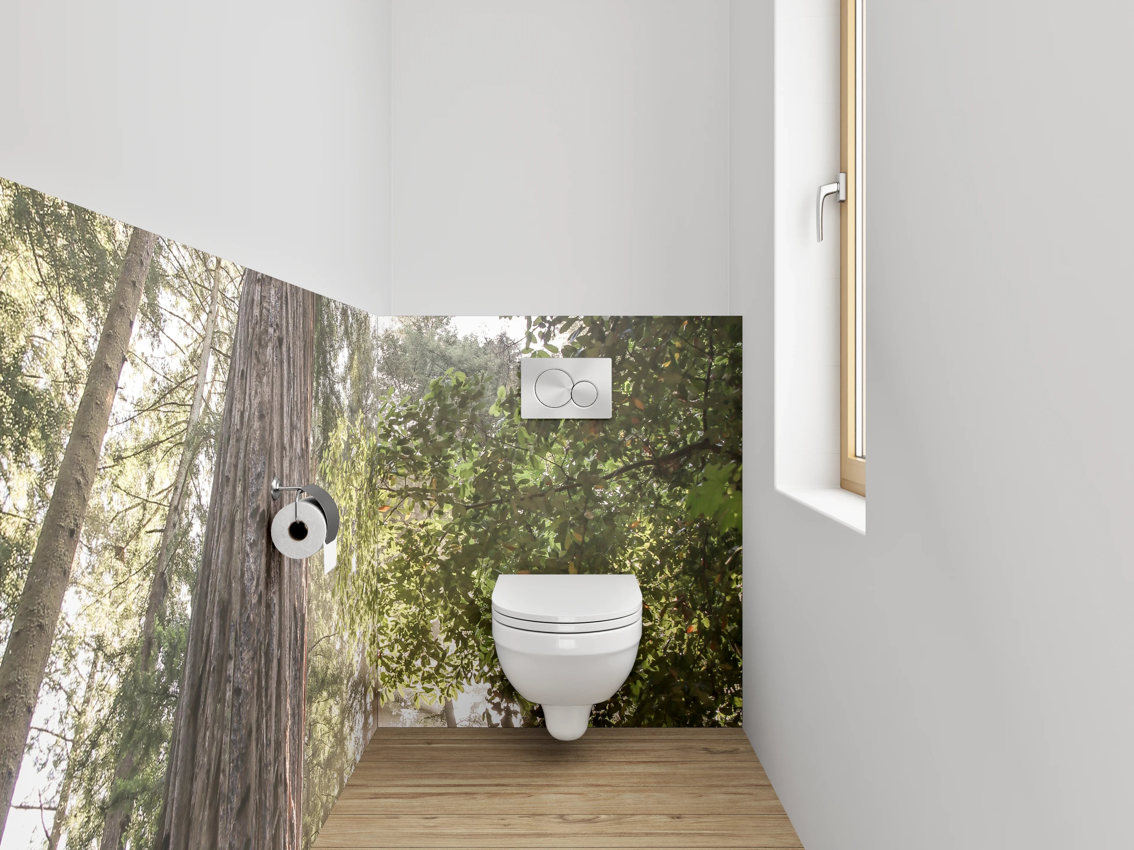 WC-Rückwand - Majestätische Redwoods im Sonnenlicht