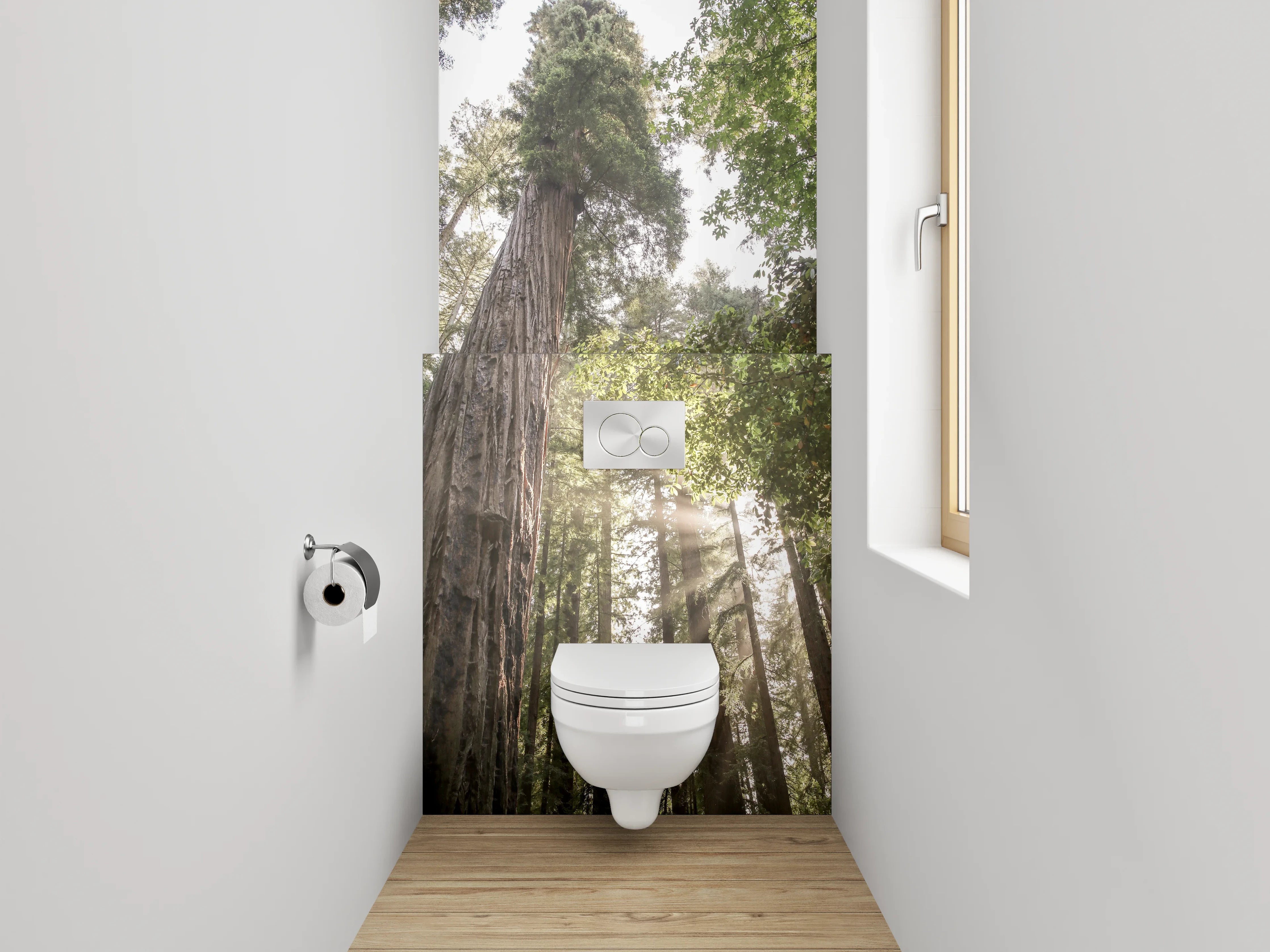 WC-Rückwand - Majestätische Redwoods im Sonnenlicht