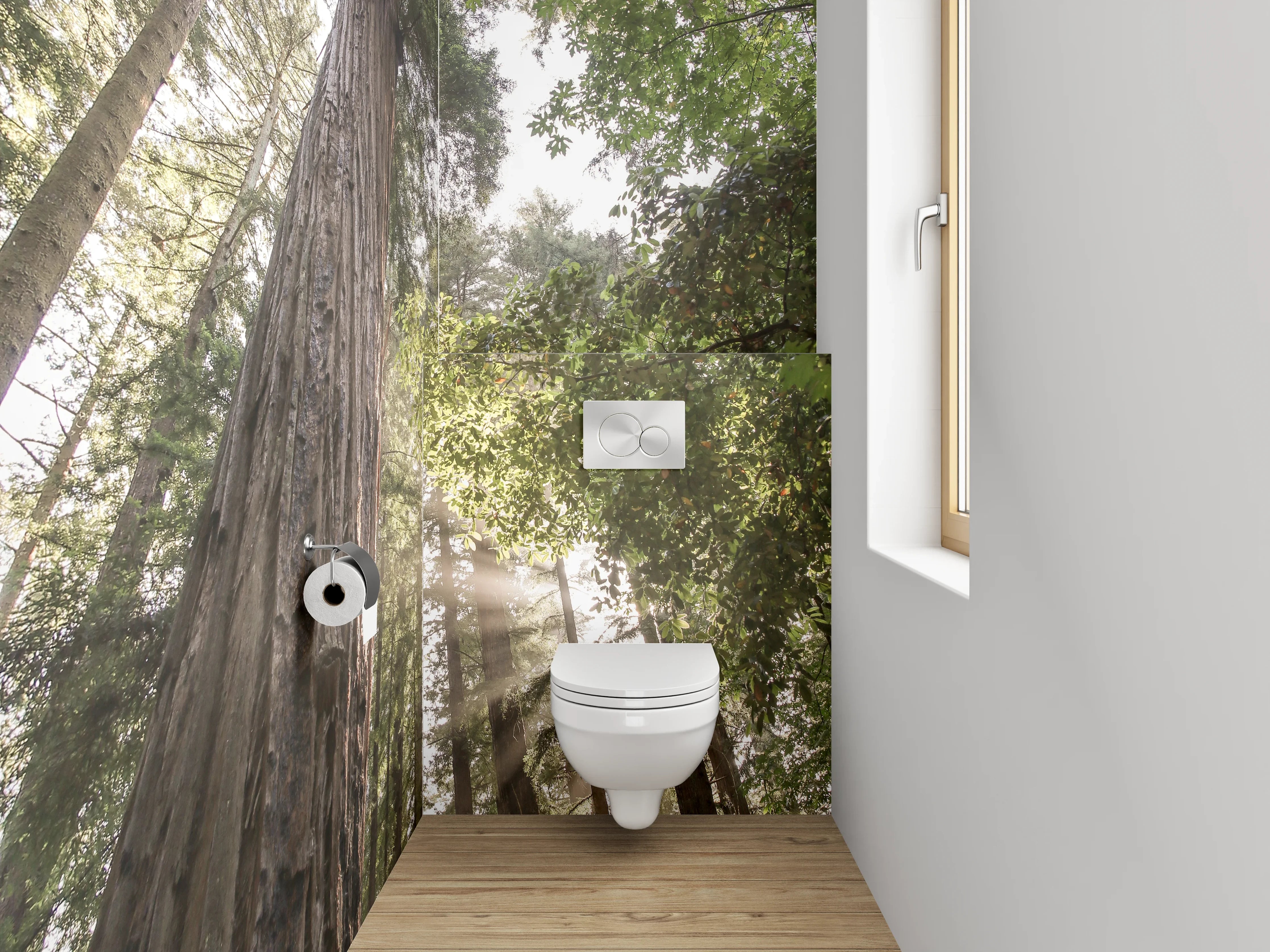 WC-Rückwand - Majestätische Redwoods im Sonnenlicht