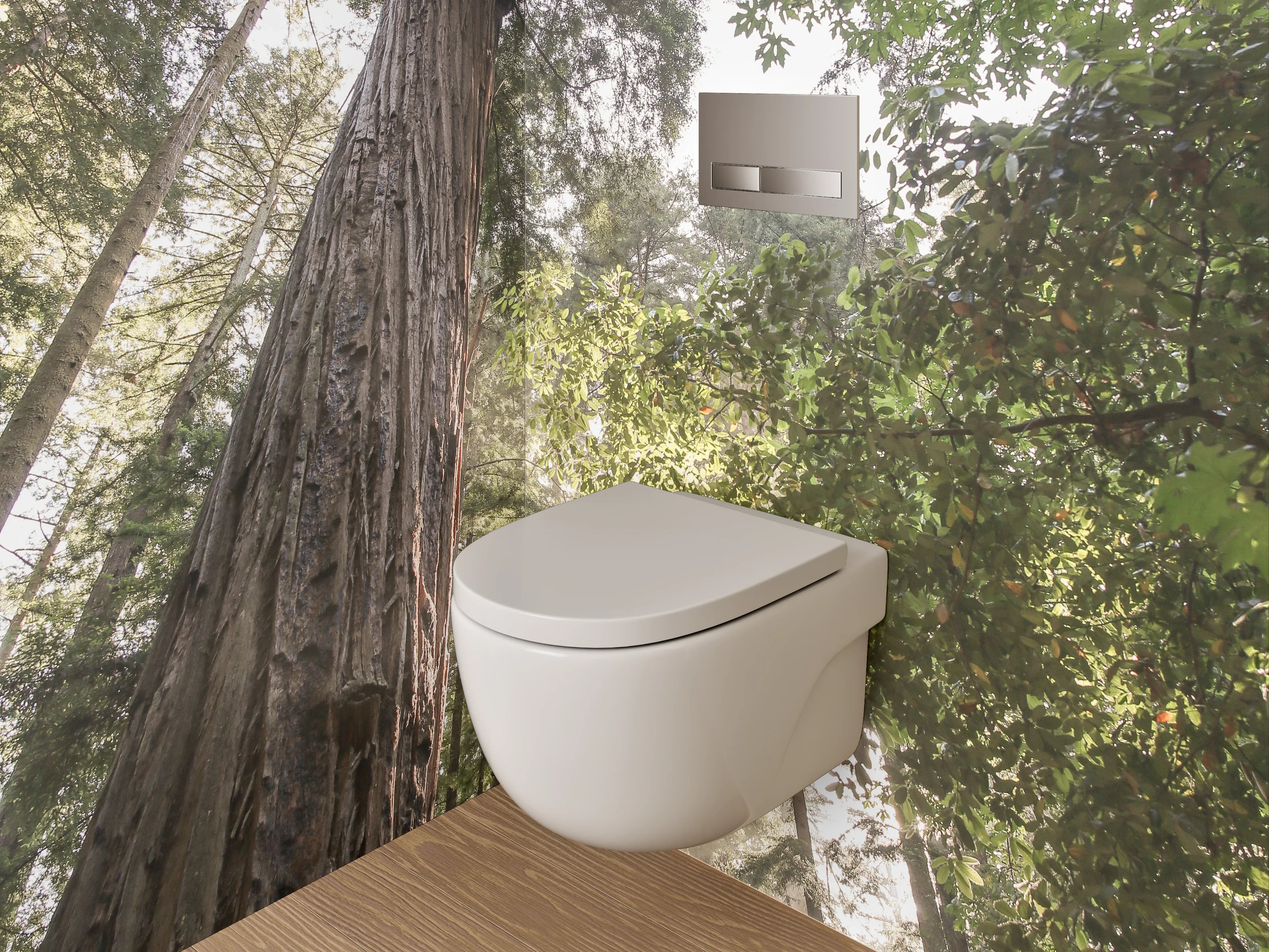 WC-Rückwand - Majestätische Redwoods im Sonnenlicht