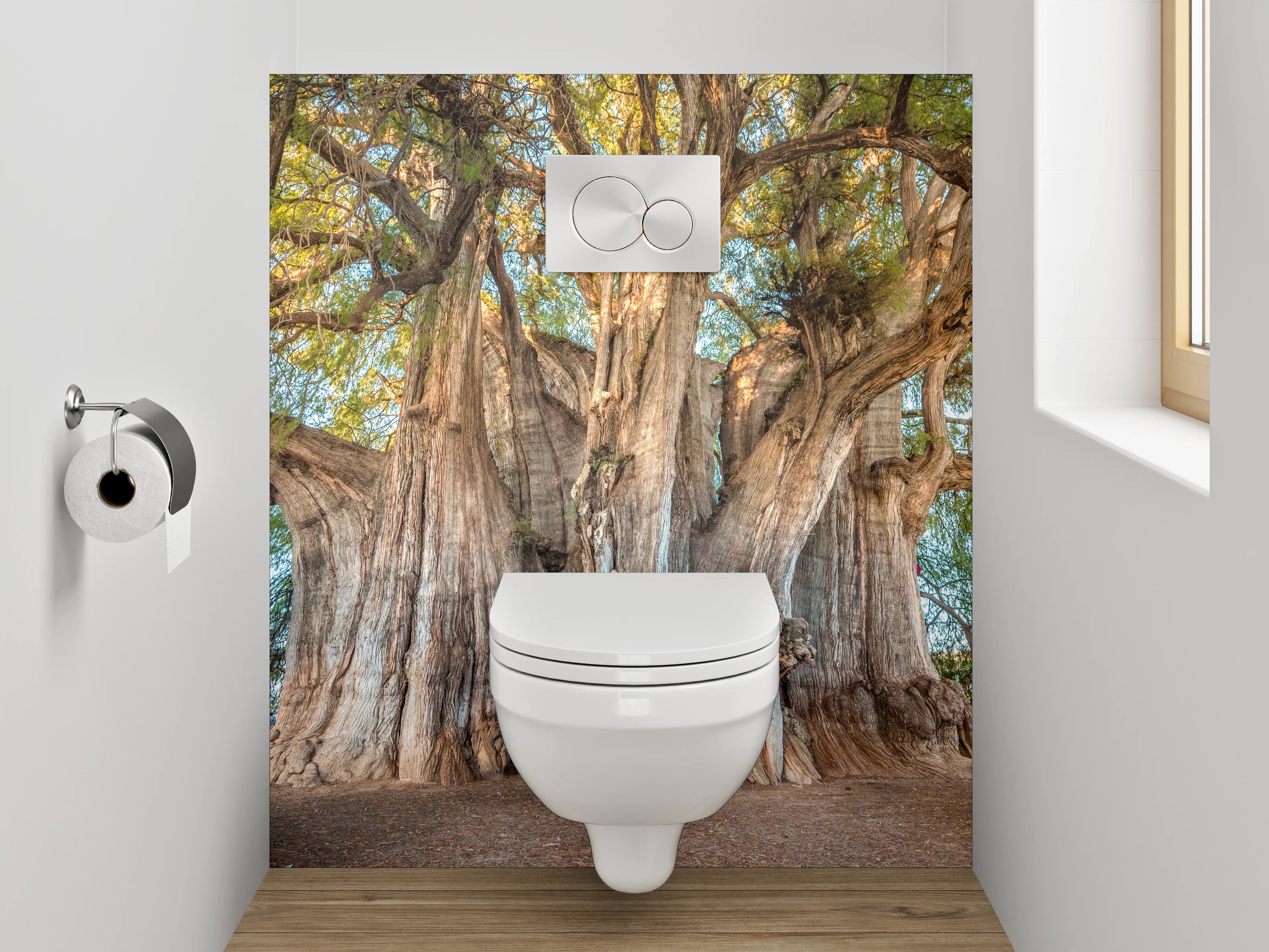 WC-Rückwand - Majestätischer Riesenbaum Naturfotografie