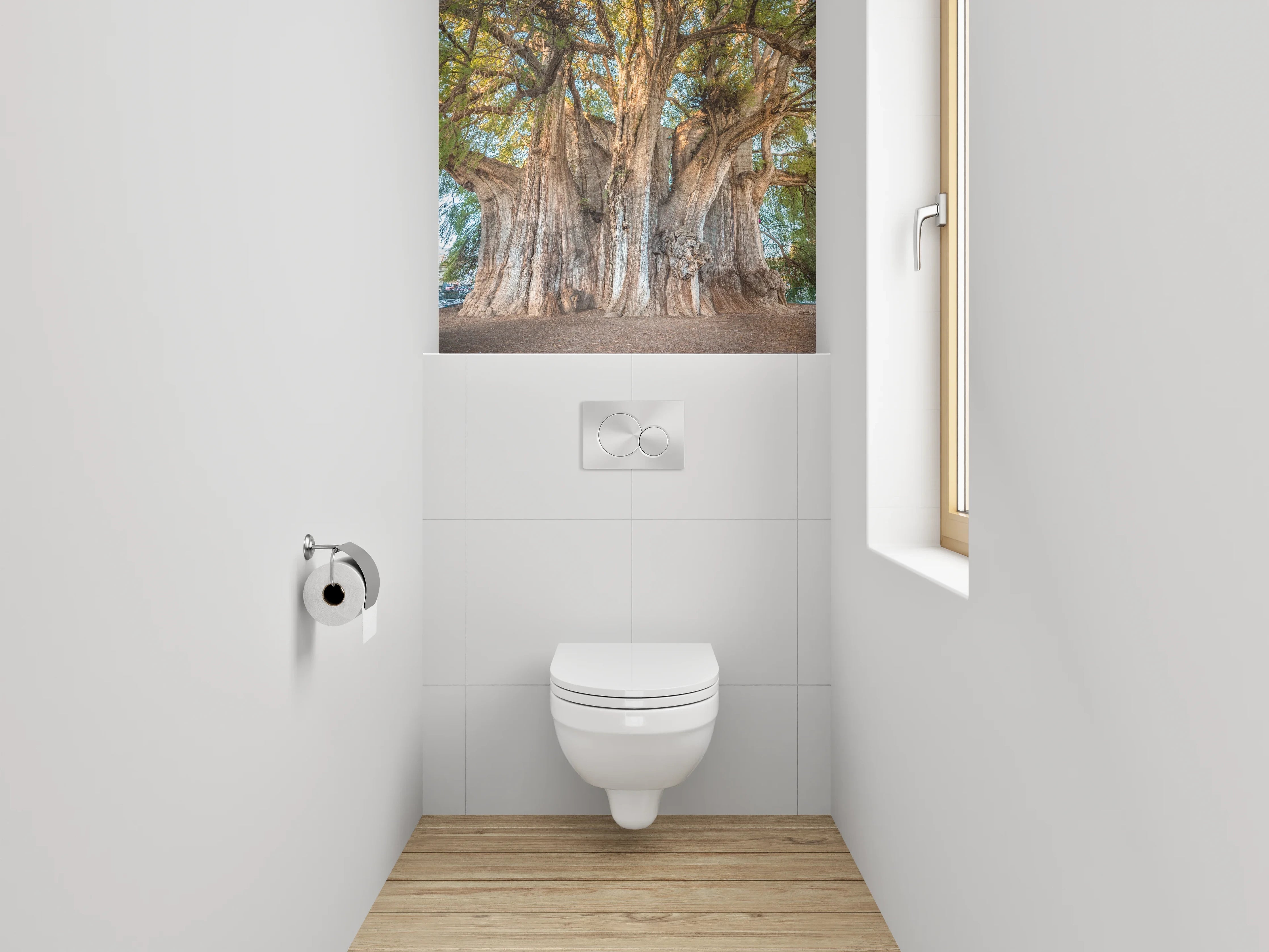 WC-Rückwand - Majestätischer Riesenbaum Naturfotografie