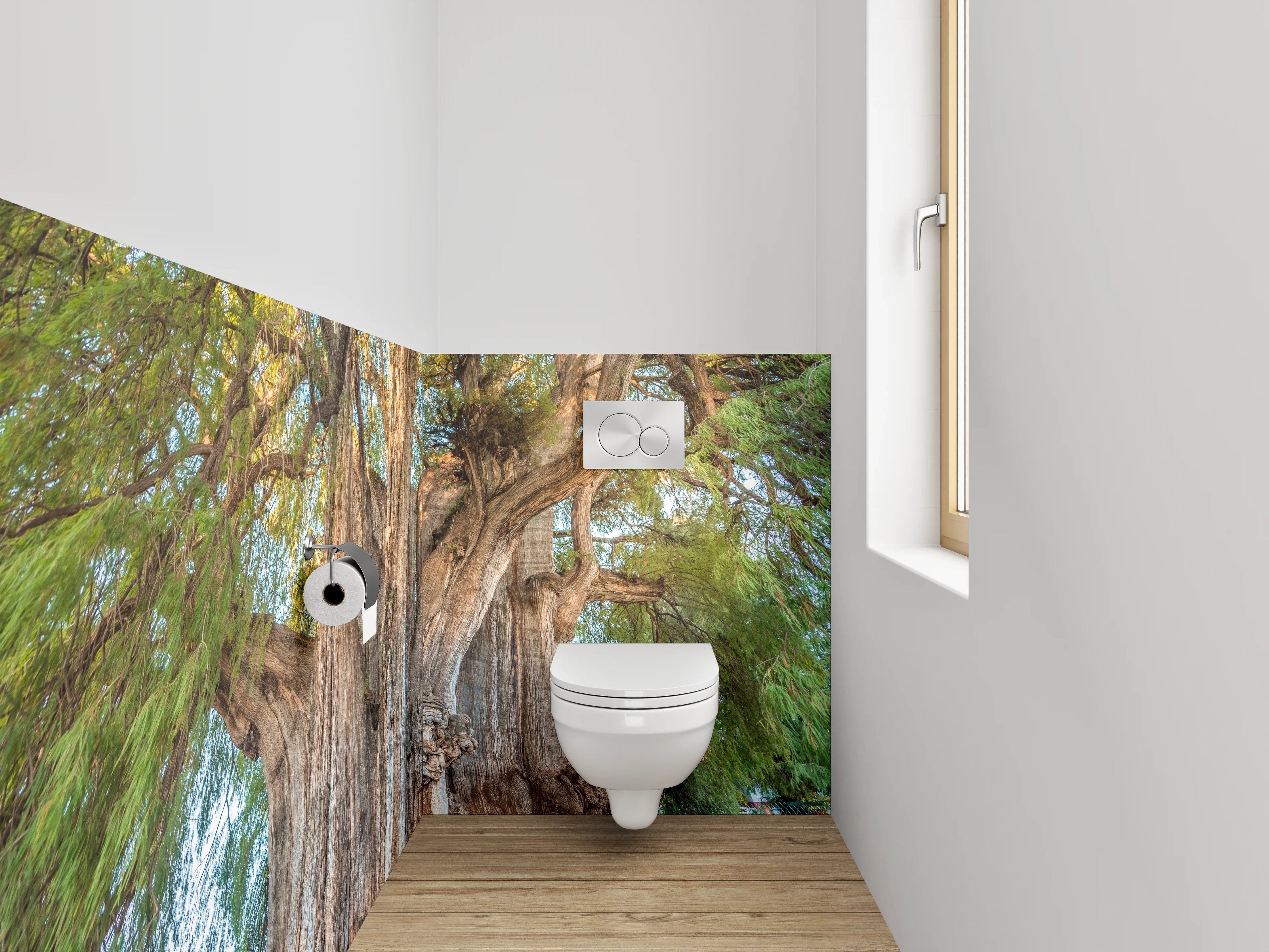 WC-Rückwand - Majestätischer Riesenbaum Naturfotografie