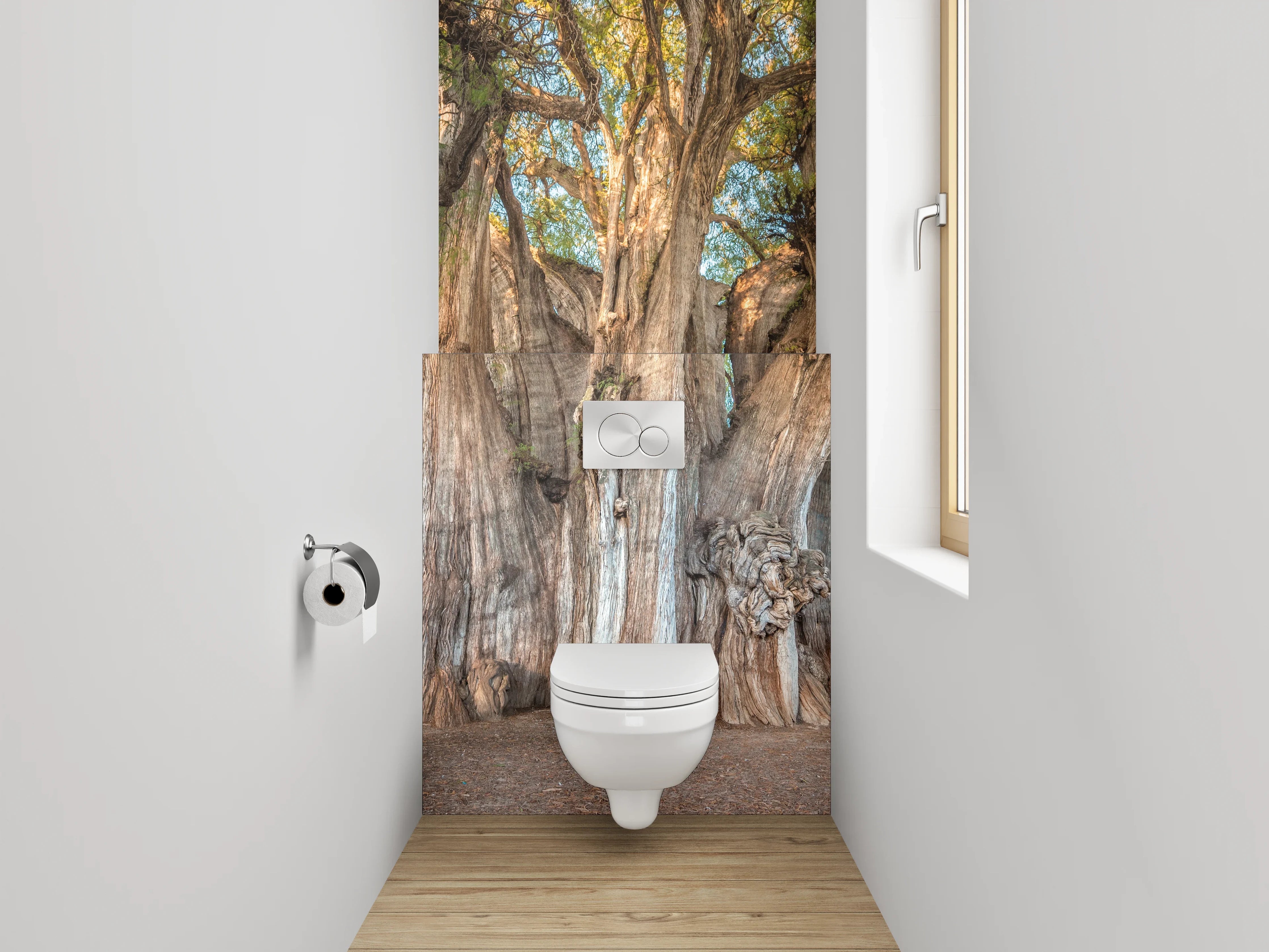 WC-Rückwand - Majestätischer Riesenbaum Naturfotografie