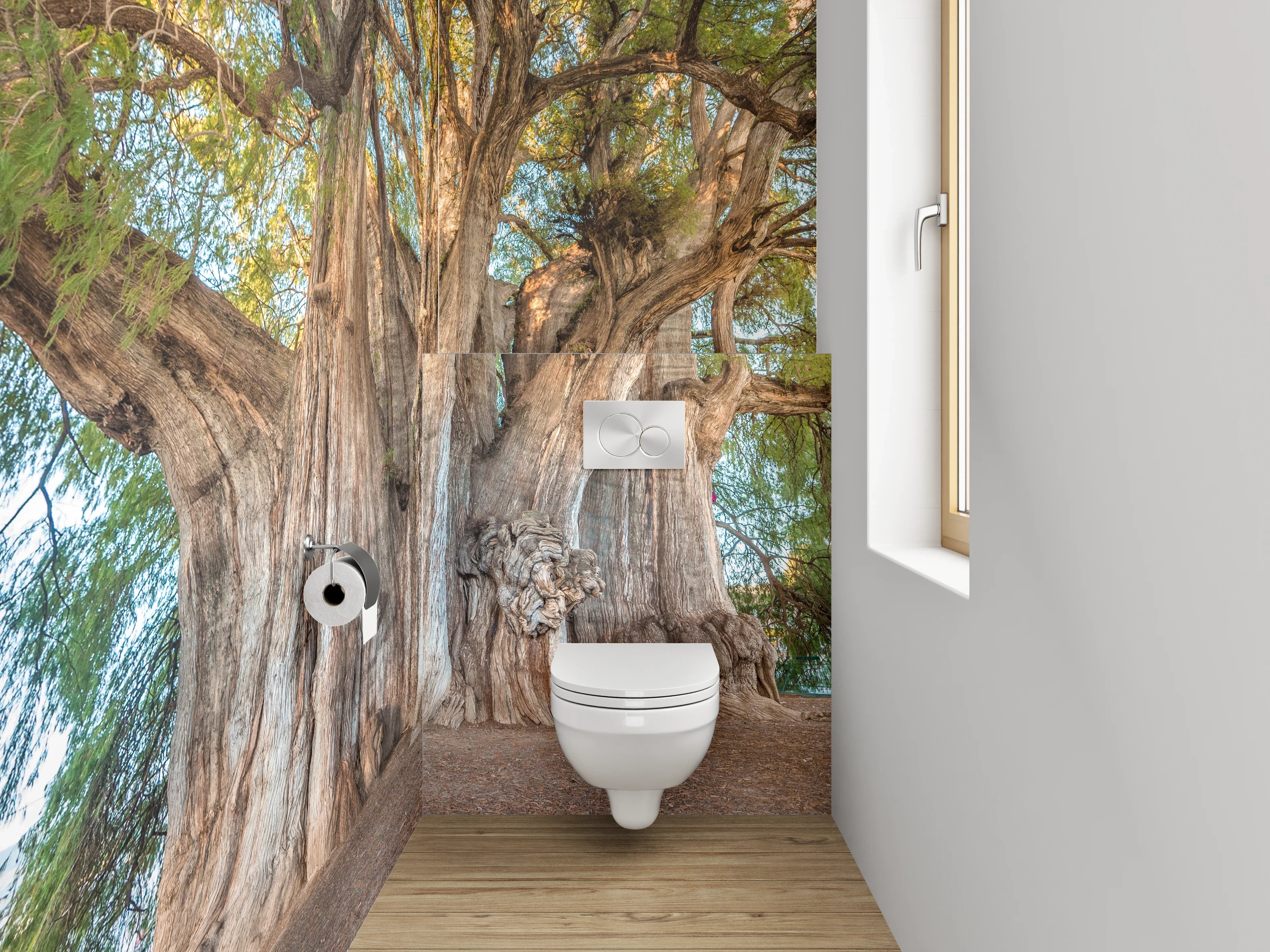 WC-Rückwand - Majestätischer Riesenbaum Naturfotografie