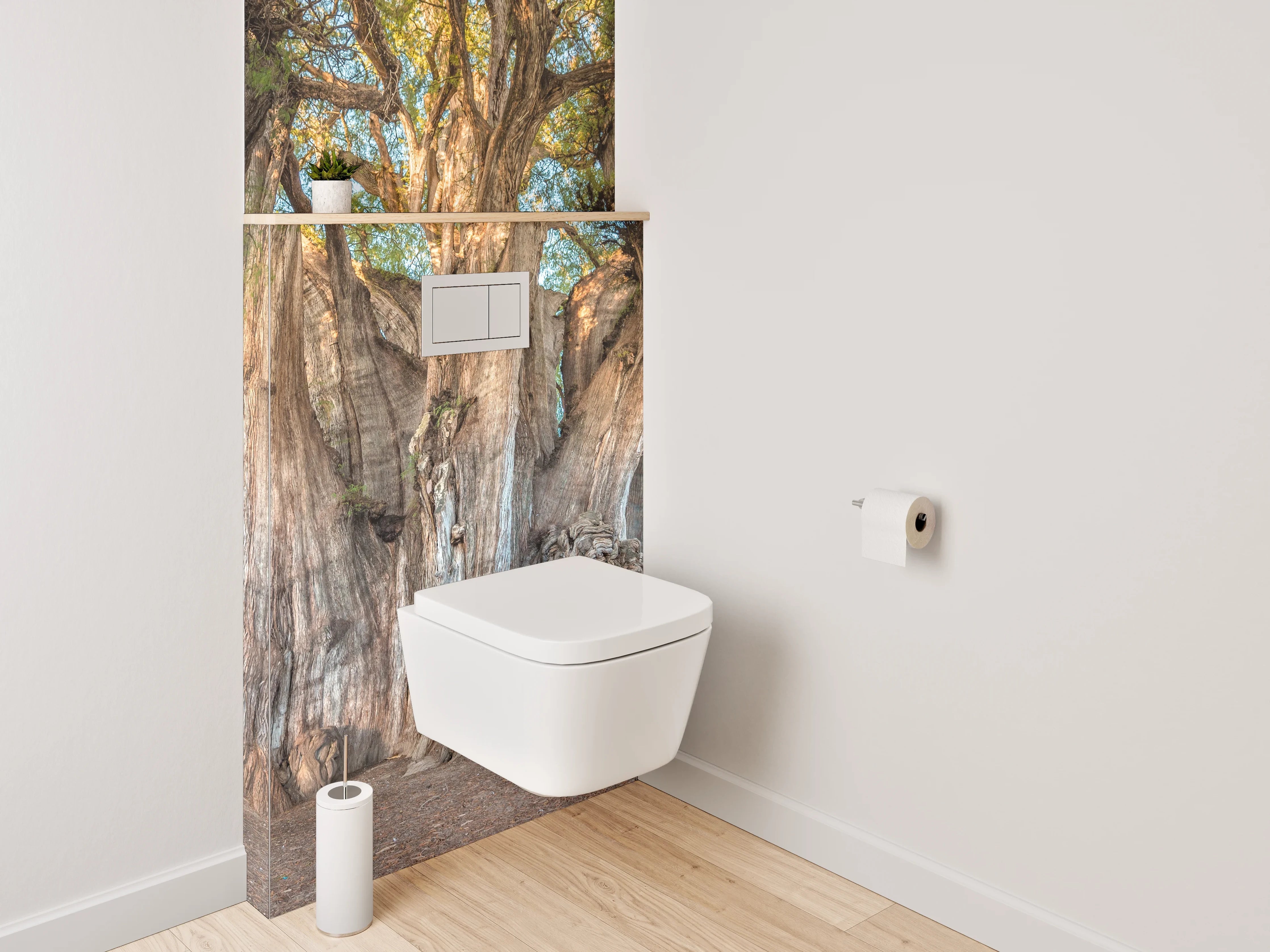 WC-Rückwand - Majestätischer Riesenbaum Naturfotografie
