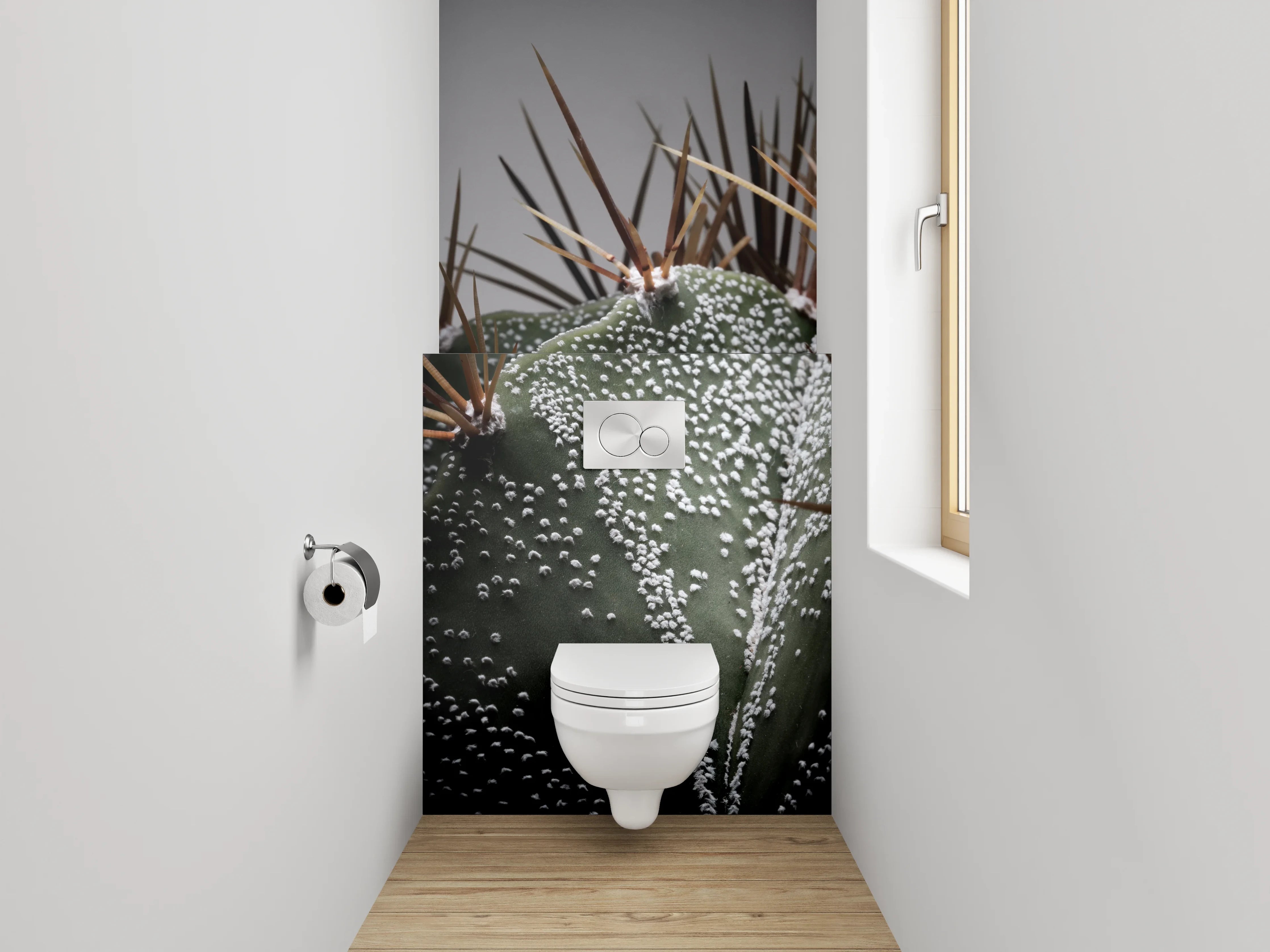 WC-Rückwand - Makroaufnahme Kaktus Details Stacheln