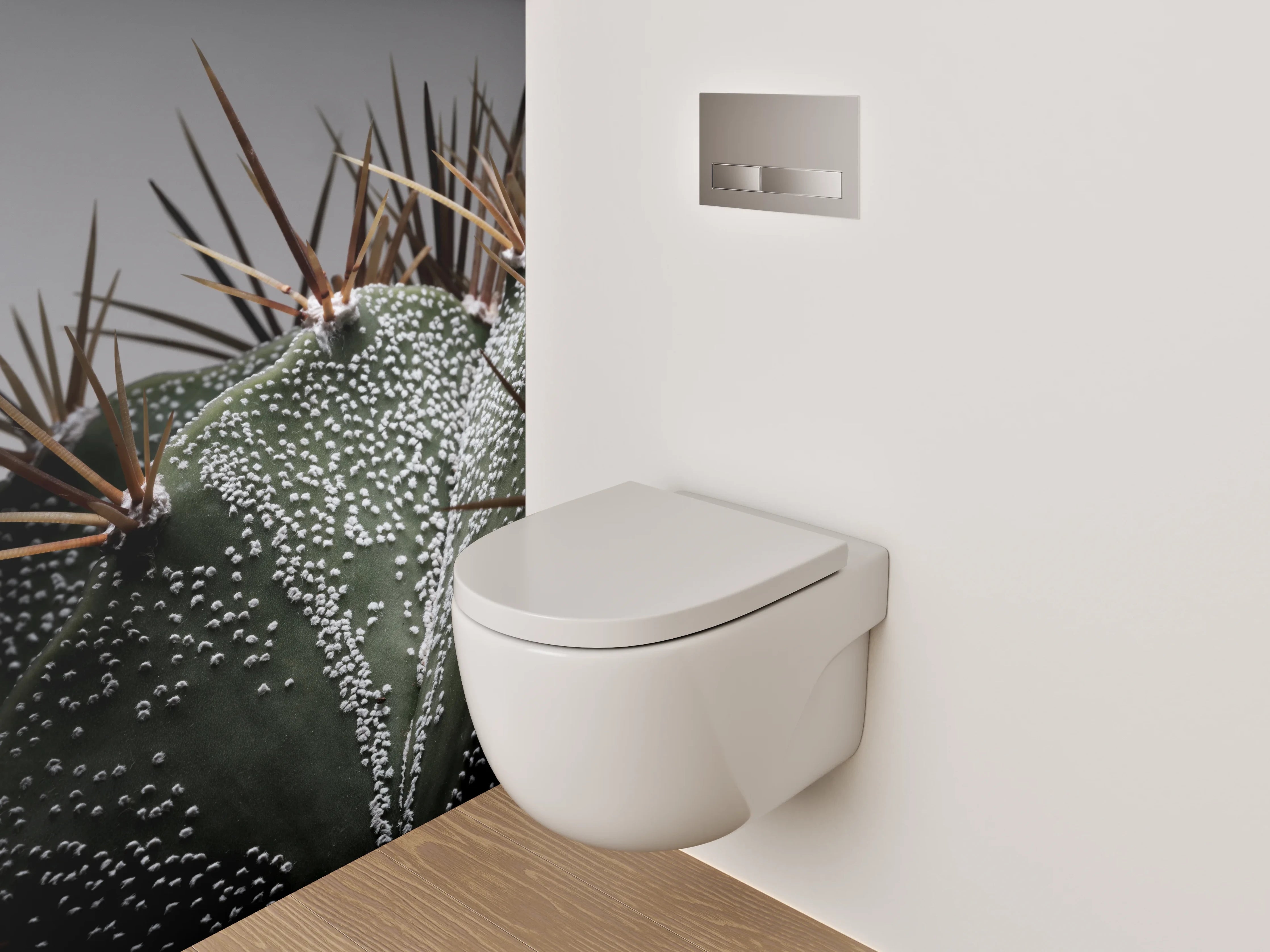 WC-Rückwand - Makroaufnahme Kaktus Details Stacheln