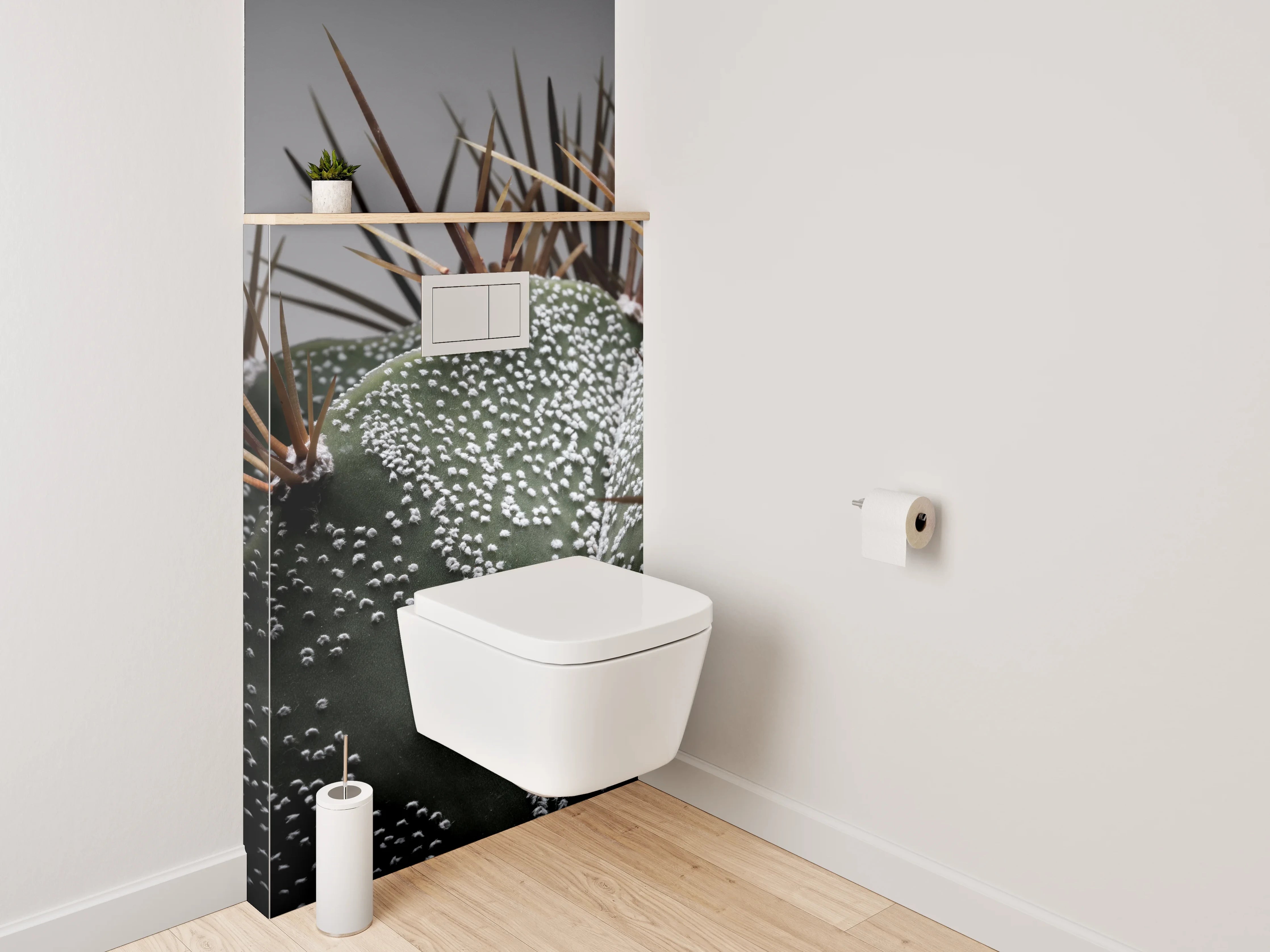 WC-Rückwand - Makroaufnahme Kaktus Details Stacheln