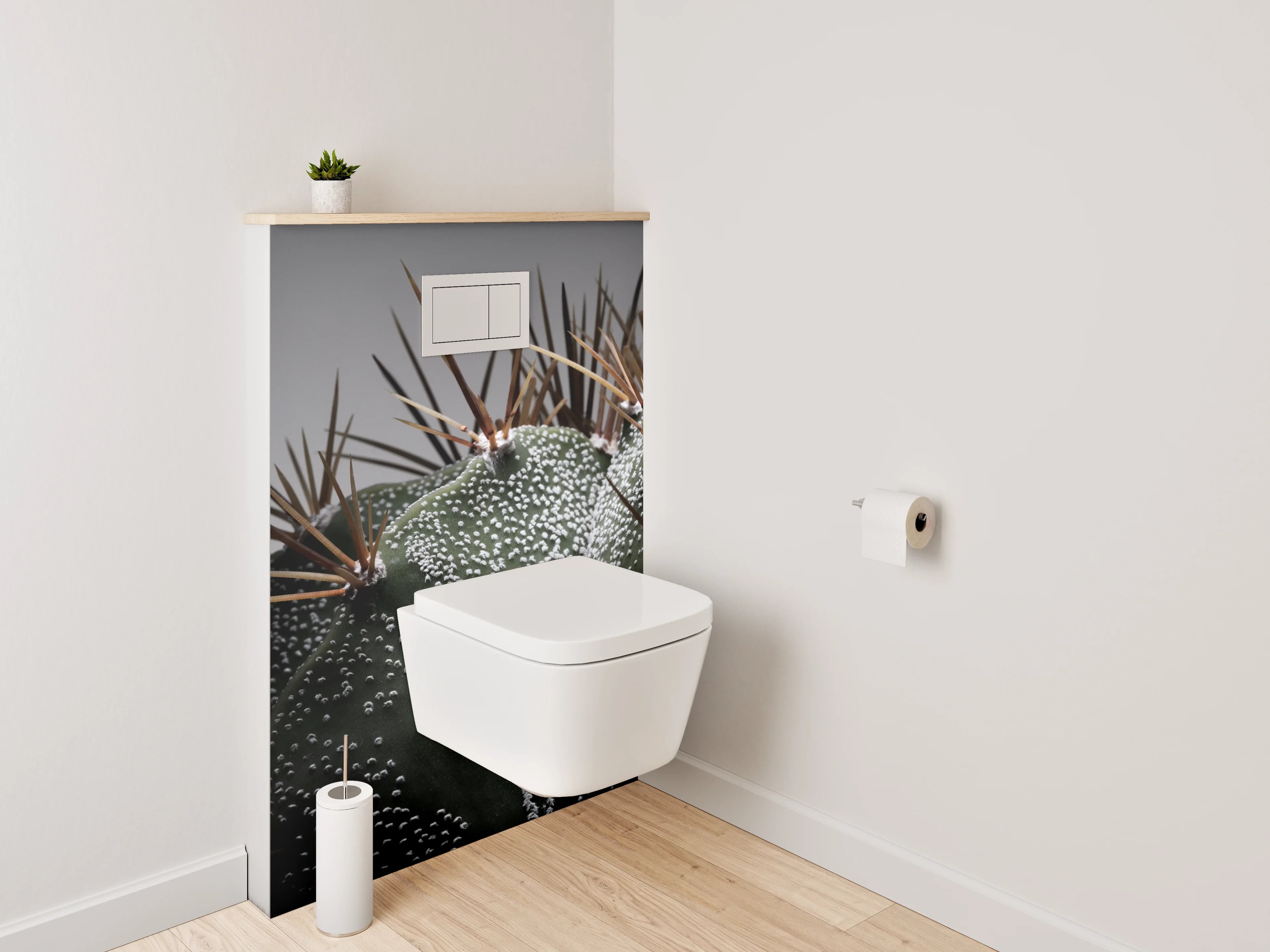 WC-Rückwand - Makroaufnahme Kaktus Details Stacheln